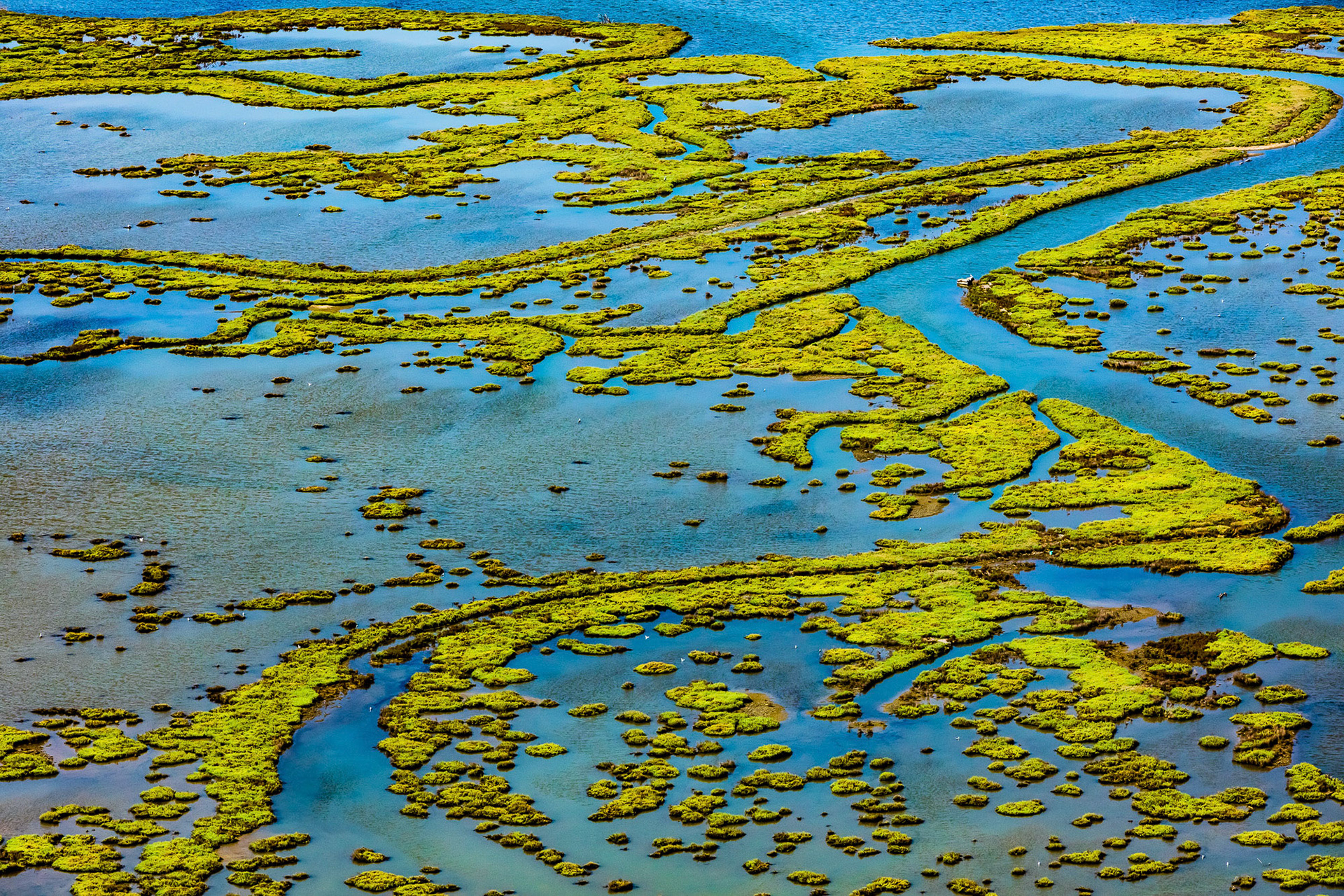 "Lace" - Lacy delicate lines and patches of water plants growing in shallow water show me how fragilely beautiful nature can be.