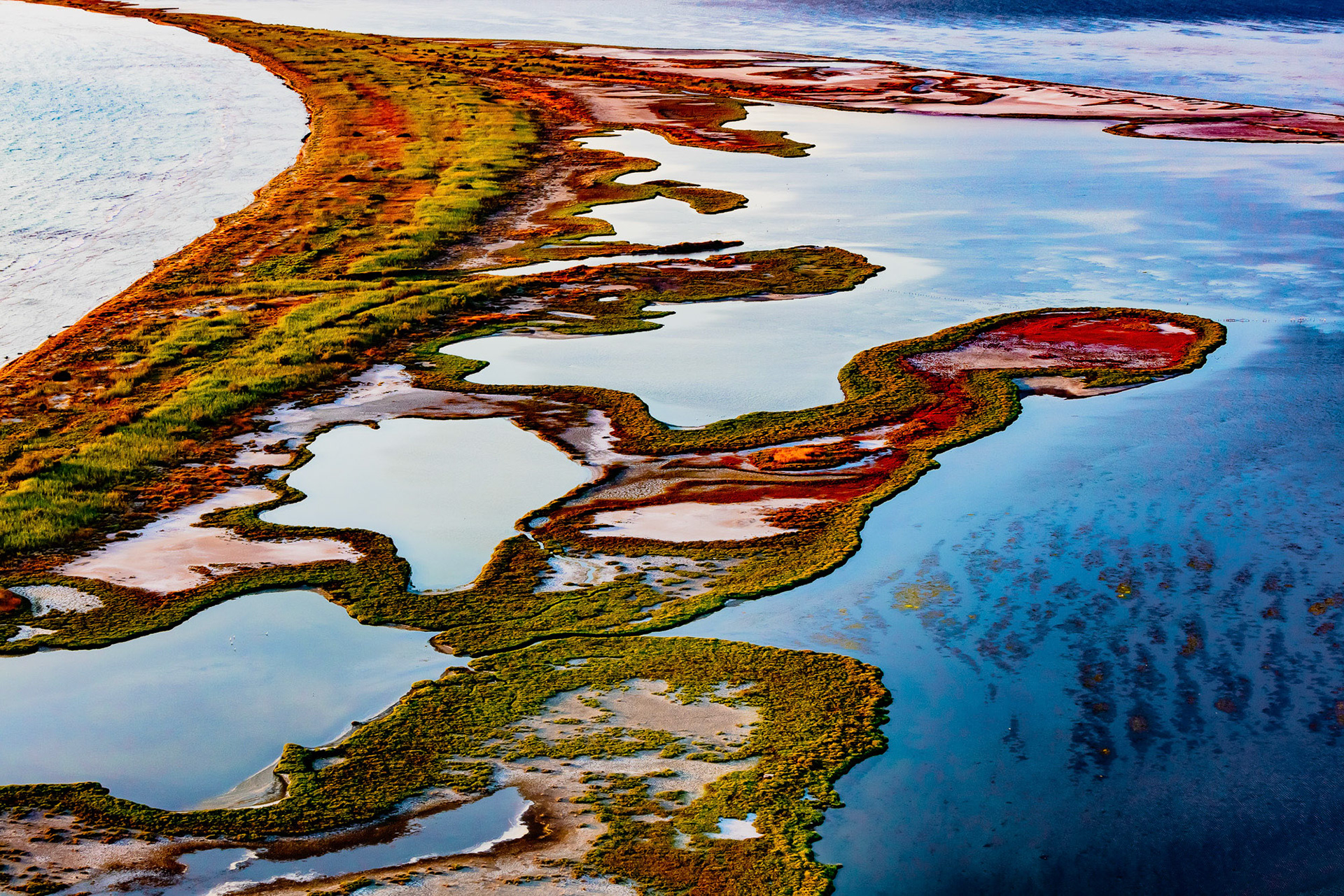 "Flow" - This image reminds me of color oil paint freely flowing on blue water. Nature is the ultimate artist!