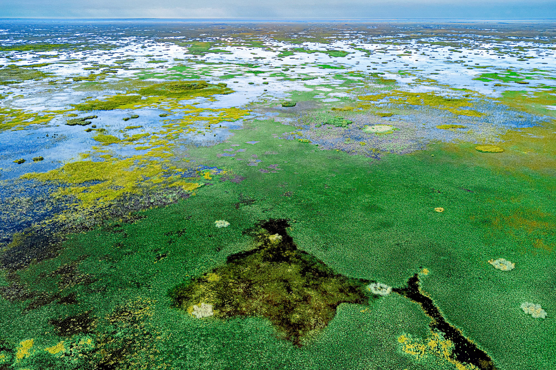 "Earth Uninterrupted"