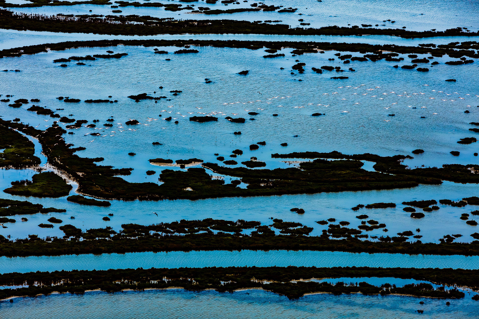 "1-1-2-3-5..." - Sometimes in my photographic compositions I find time tested mathematical patterns that I capture instinctively. The heights of the blue horizontal lines from the bottom up that are made by the islands and the flying flamingos show me the Fibonacci series 1-1-2-3-5... which occur in nature.
