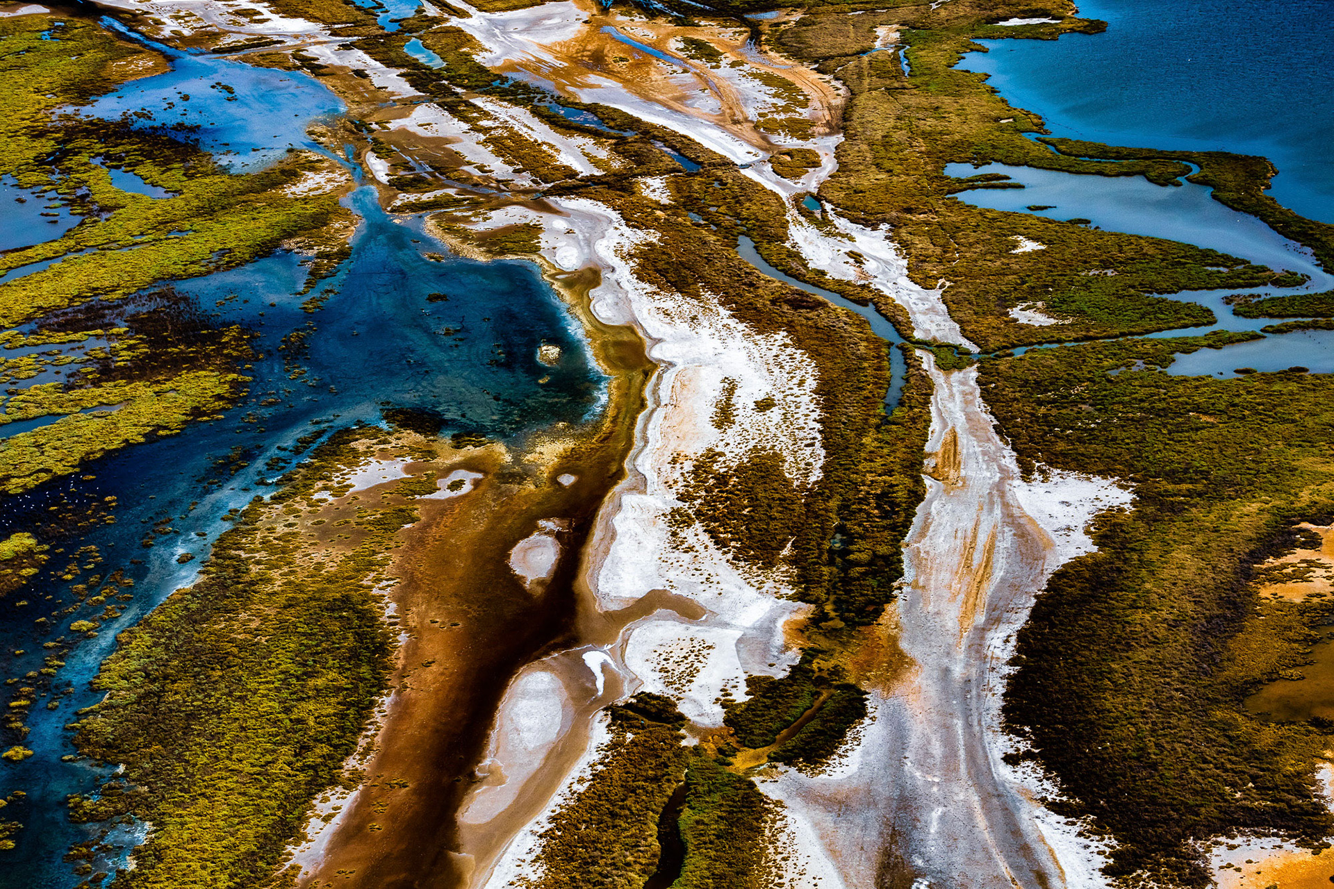 "Path to Salvation" - When I saw the grayish white texture curving like a road on a marshy passage, it made me think that leaving nature alone is the path to saving our planet from destruction.