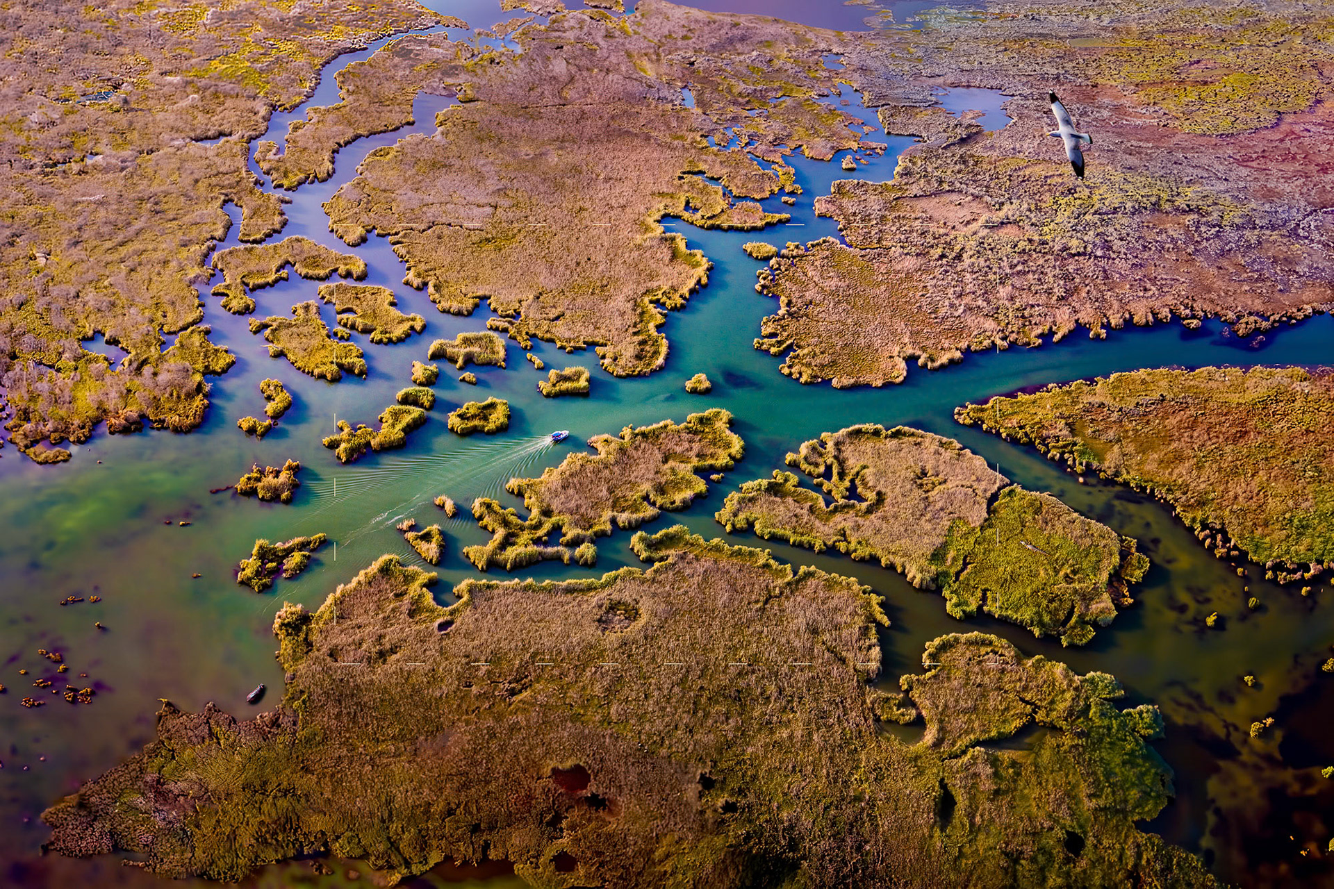 "Shades of Dalyan+AI"