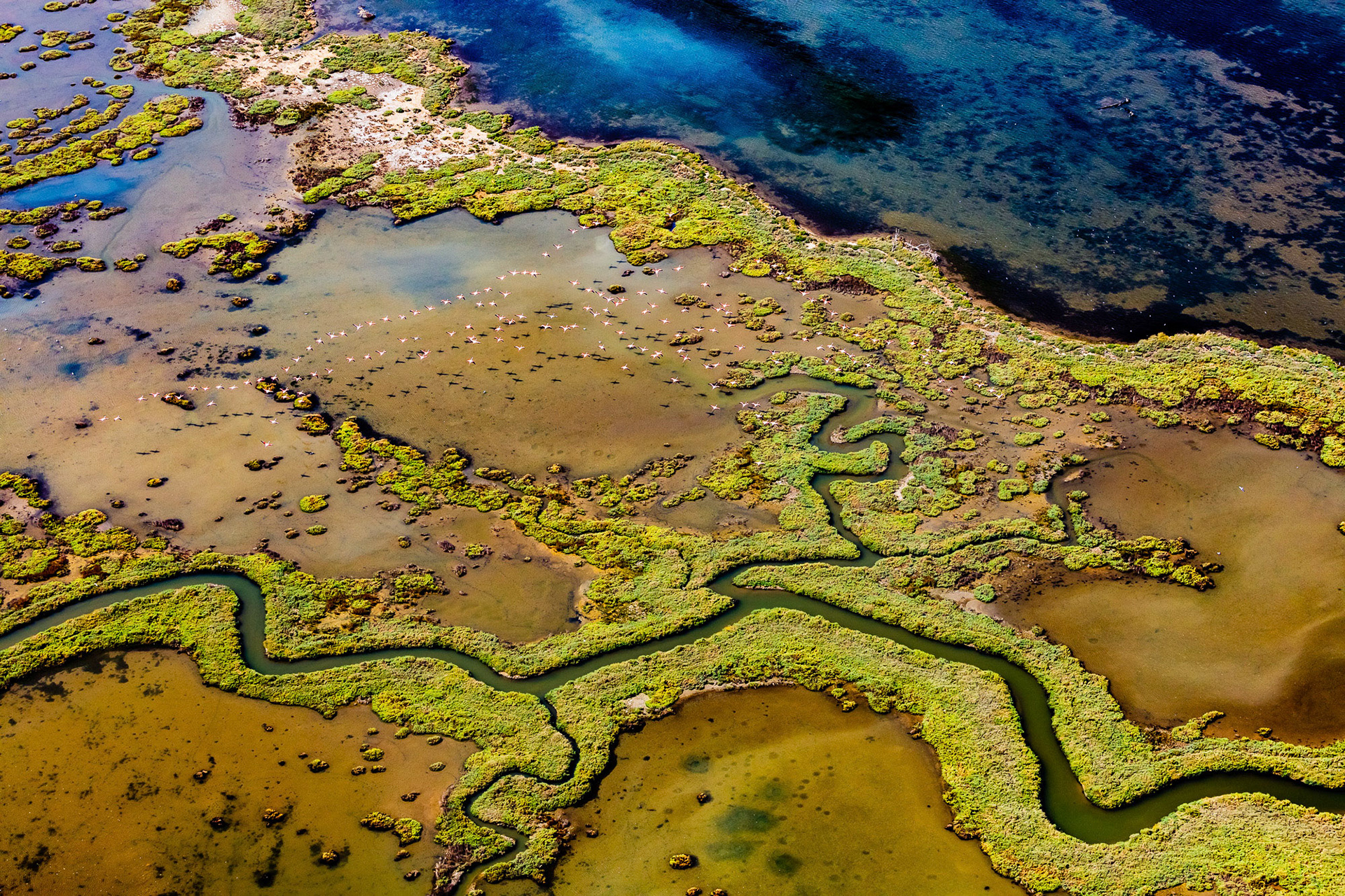 "Oasis" - Part of an Aegean river delta, this scene has everything! Blue sea, green foliage, winding streams, flying flamingos, and it's not even tropical! I learned that flamingos fly in a V pattern, too!