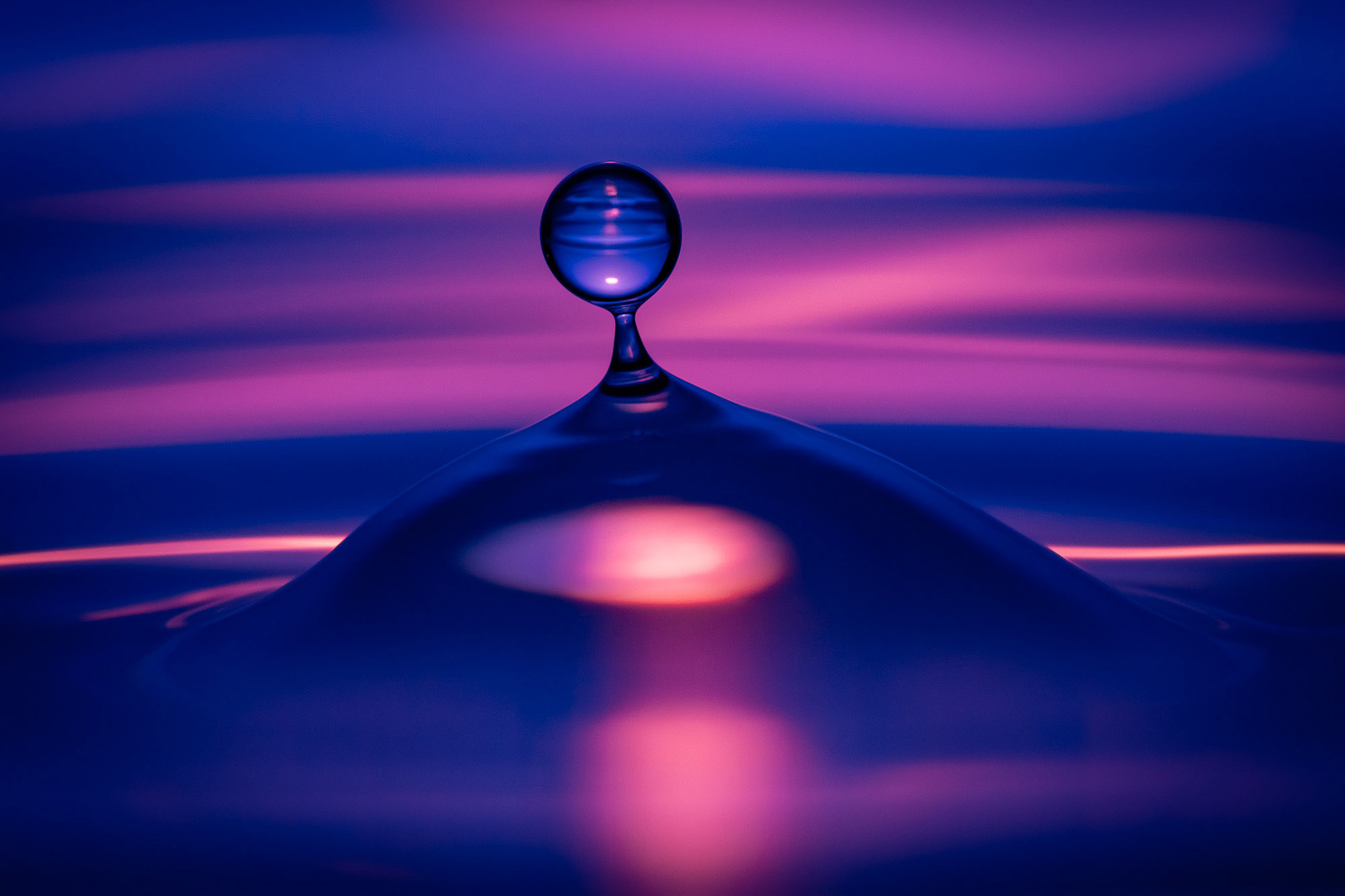 "Purple Visions"