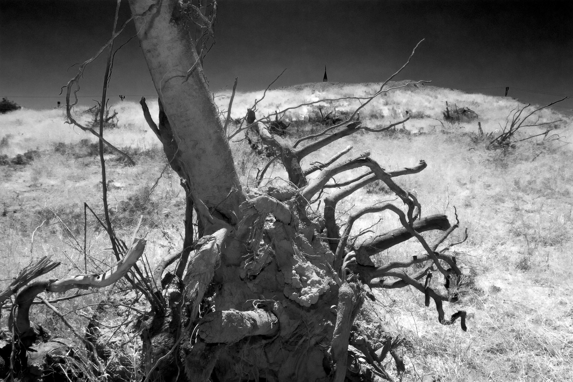 "Yamanlar" - I nickname this one the wicked mound. Traces of a modern settlement surrounding it and an uprooted tree together with my black and white treatment suit the nickname that I gave.