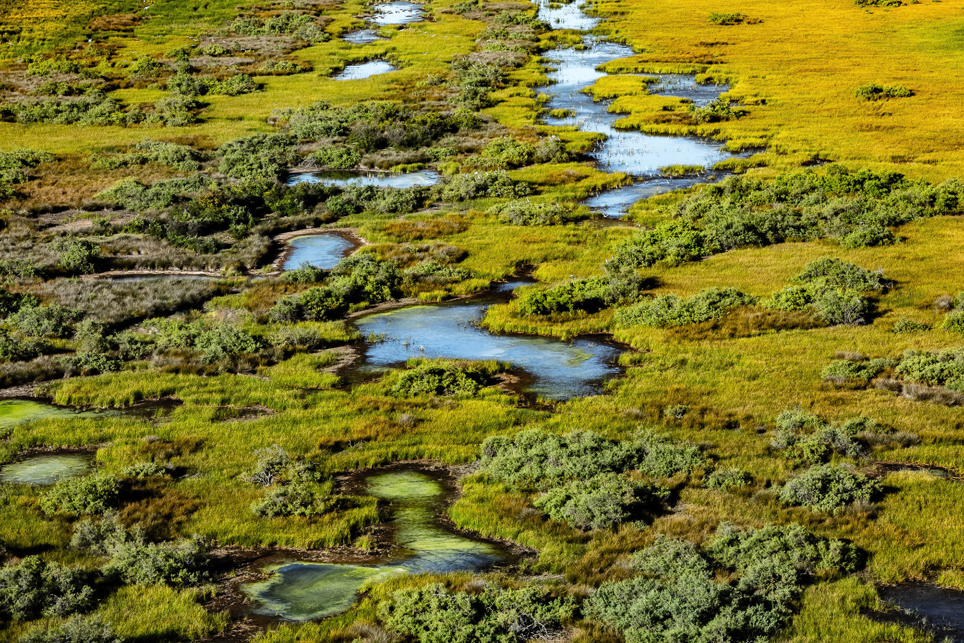 "Velvet" - Multiple shades of color cascading on the lush greenery surrounding pools of water look like waving velvet.