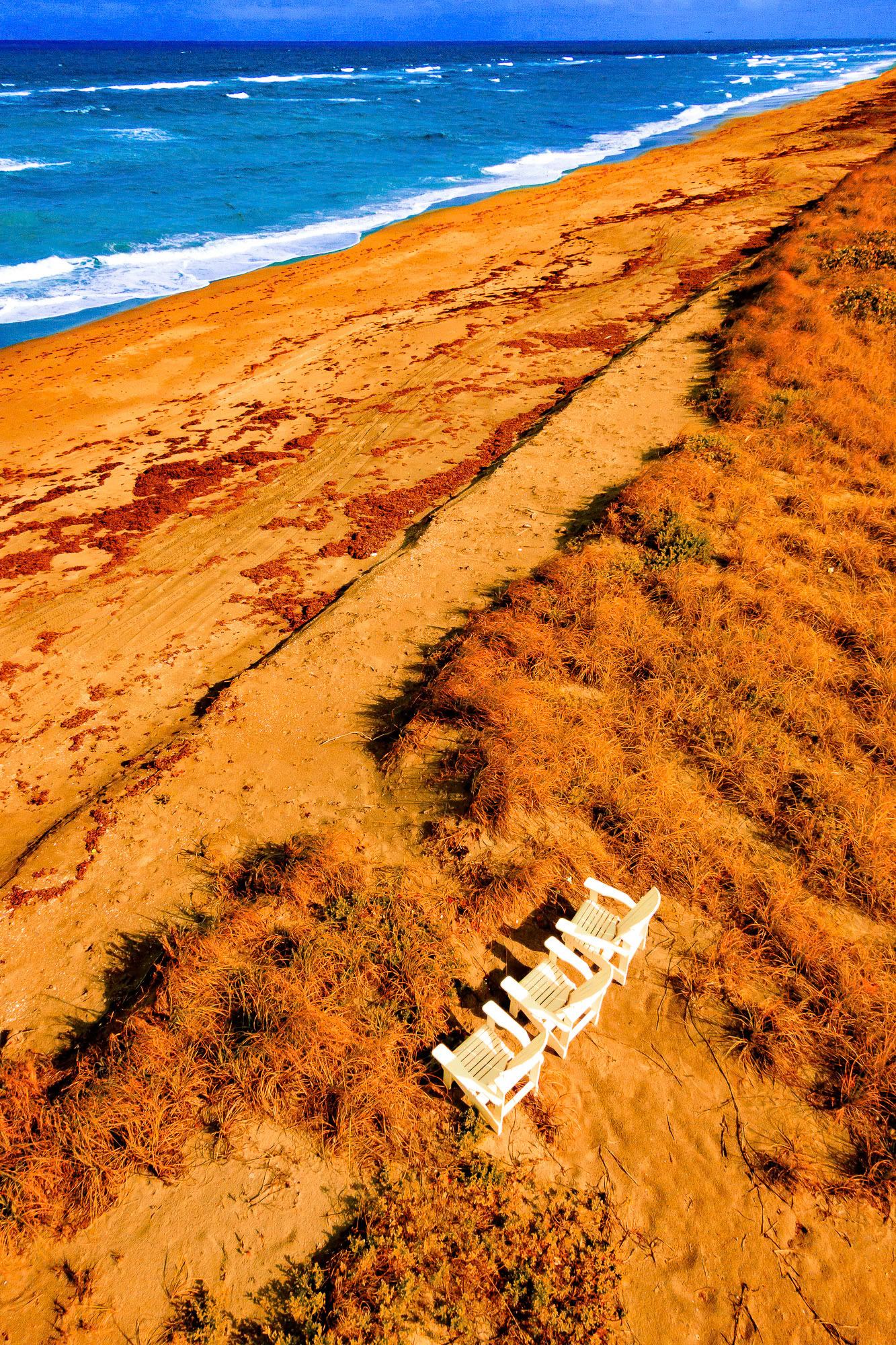 "Beach No. 6"