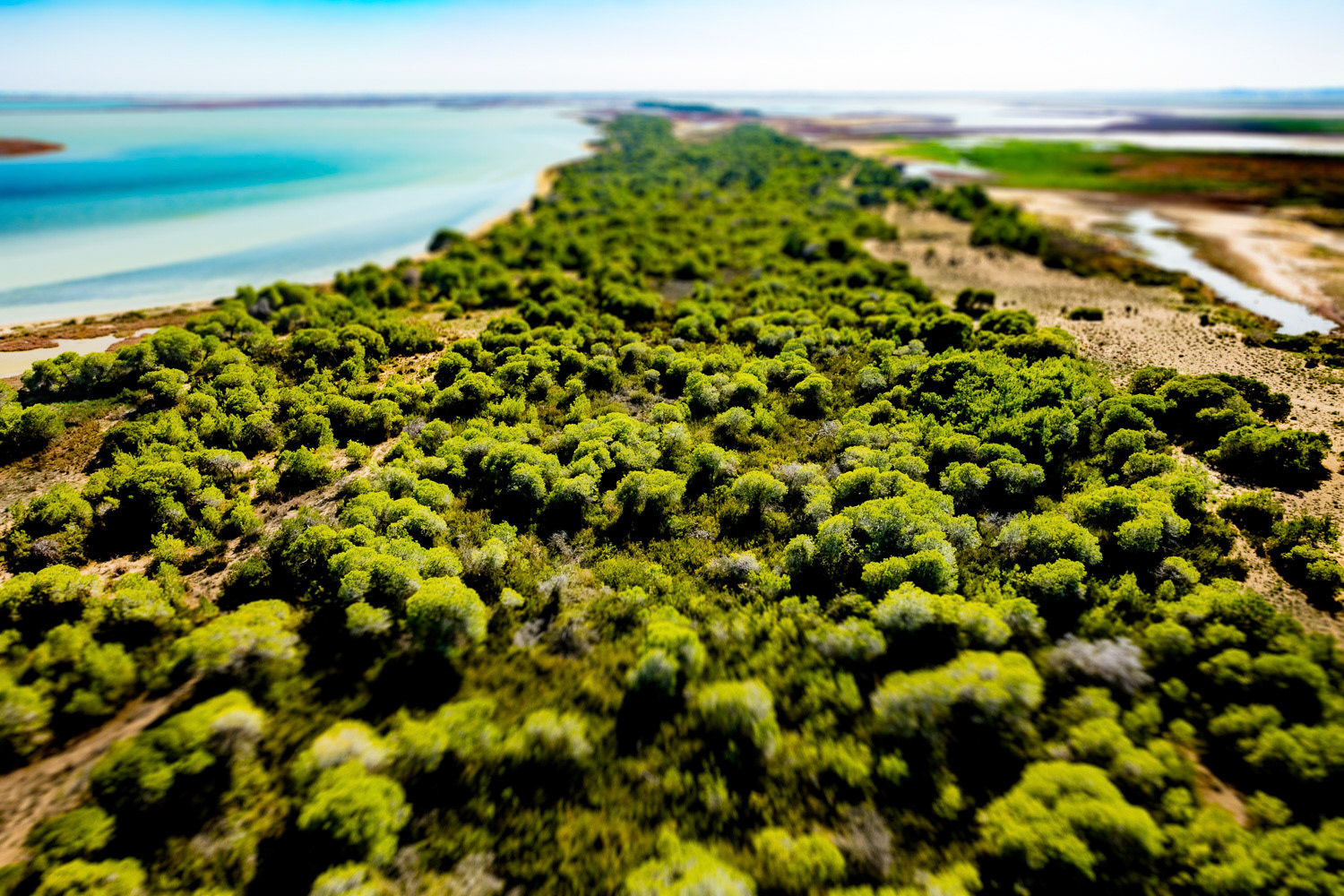 "Pine Grove" - On a peninsula between the Yumurtalik-Camlik lagoon is a forest covering an area of 59 hectares comprising the rare Aleppo pine (Pinus halepensis). The Pine Grove region in Yumurtalık looked like a green oasis tucked between the brown of the fields and the blue of the sea. I am always excited about the surprising aerial views that we do not notice on the surface. Pine Grove was one of the best examples of this. The presence of such a protected nature area in Adana made me extra happy.