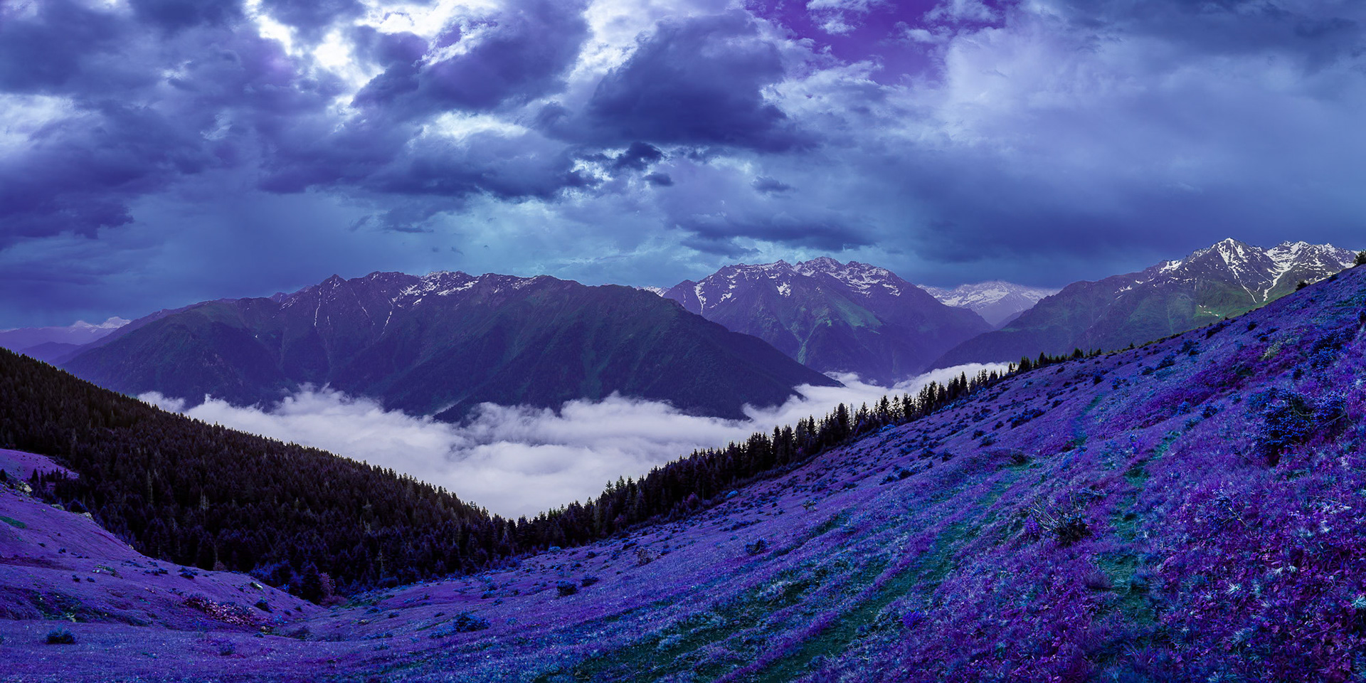 “I Dream of Purple” - I used my artistic license for the grand panoramic view of the Black Sea mountains.