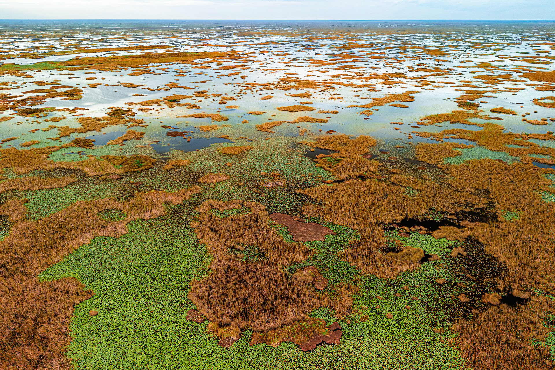 "Unmarked Territory"