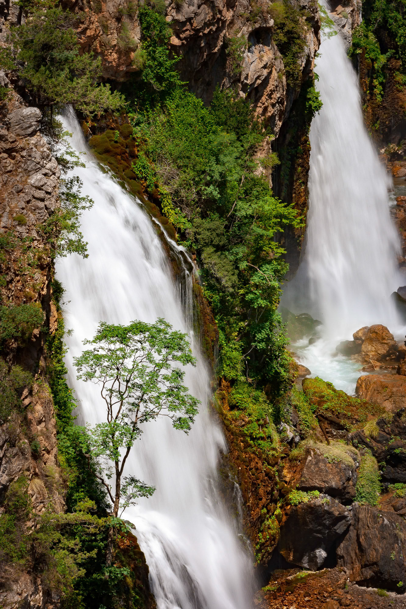 "Twin Falls" - Freezing cold water finds its path inside the mountain and gushes out in full force at two openings on the side. Life thrives around.