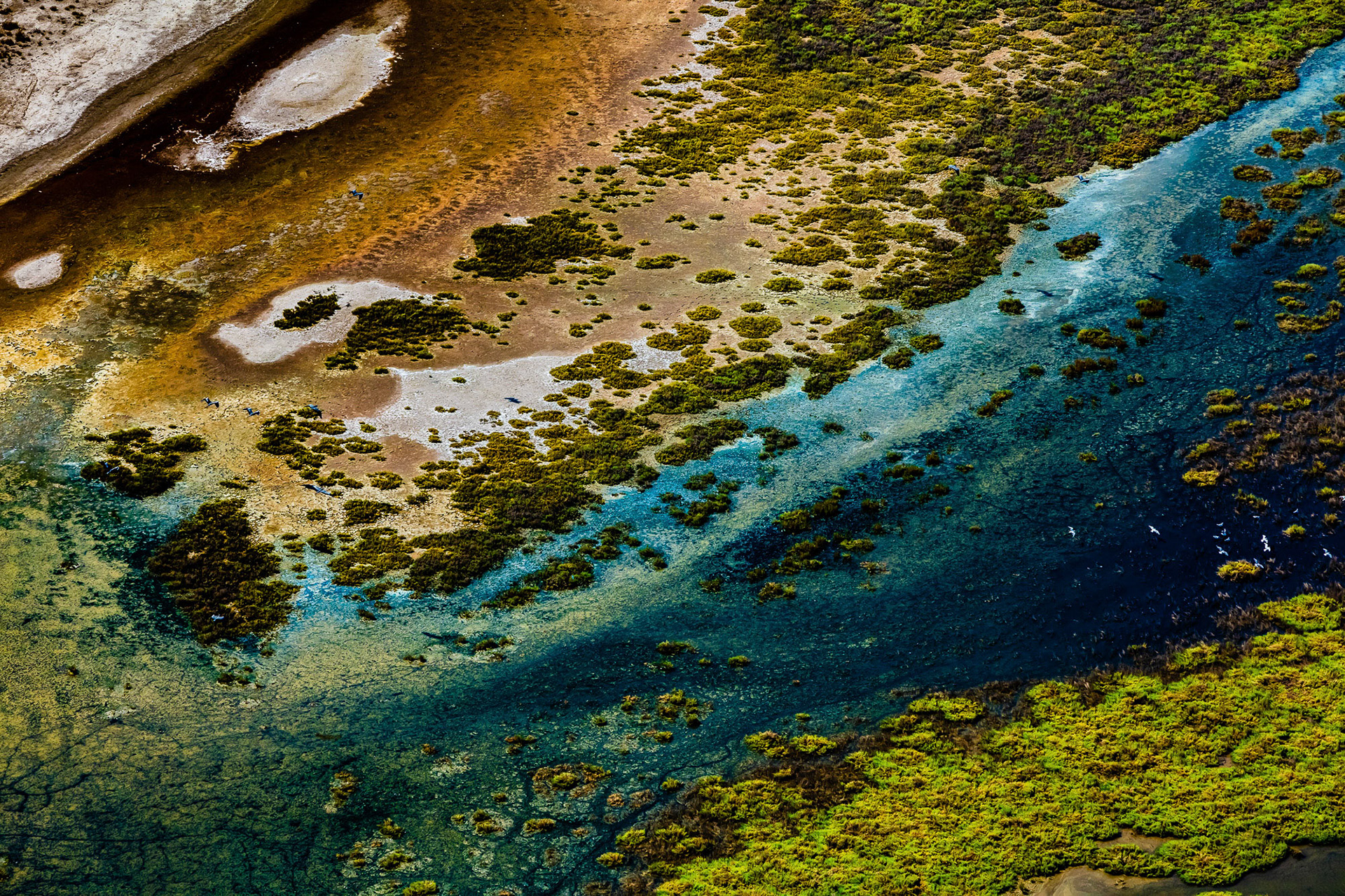 "Matching Colors" - Bringing matching colors together is nature's way of pleasing our eyes. No wonder green, blue and brown look good when they are next to each other. It’s because we see them in nature.