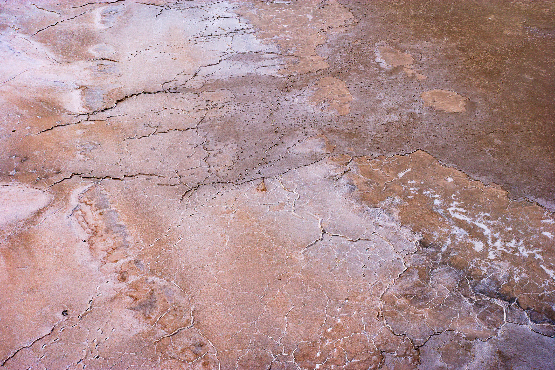 "Frozen" - Frozen water, ground, cracks, ripples, foot prints, and shades of earth tones on the surface of the Salt Lake make abstract art.