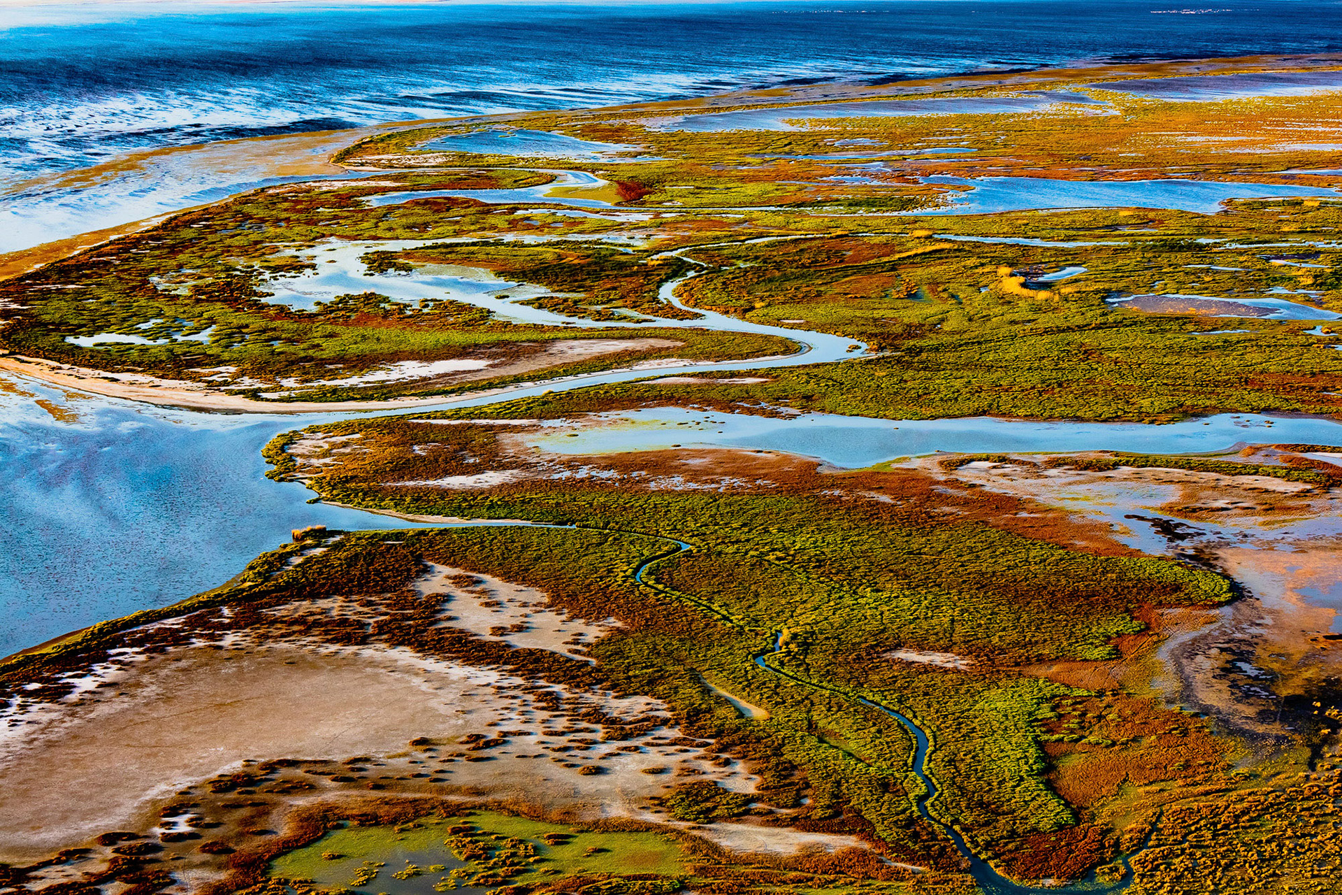 "Expanse" - This vast area where land meets water reminds me of fertility and hope.