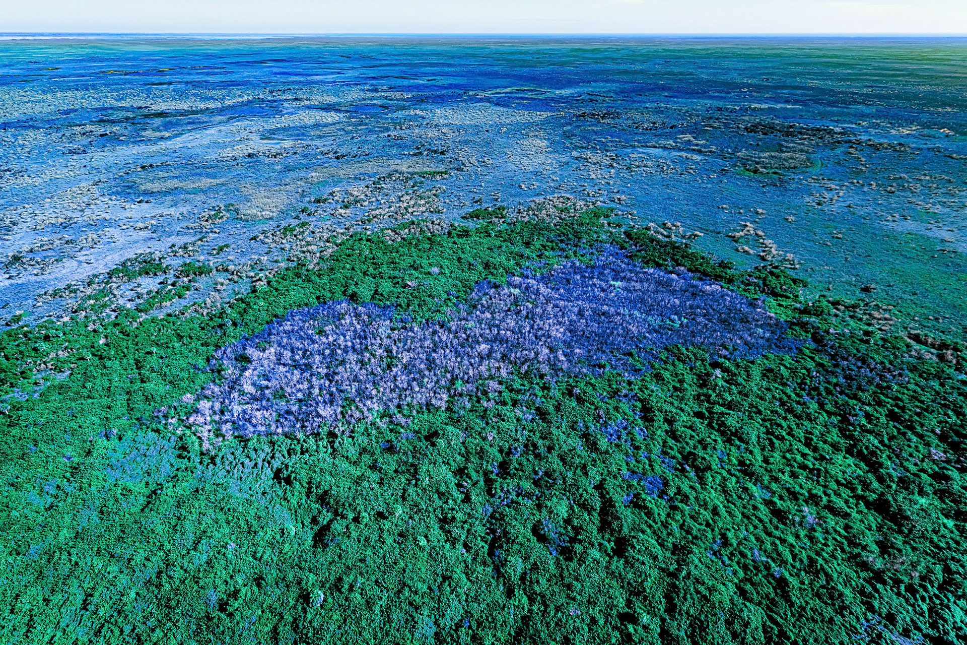 "Blue Threshold"