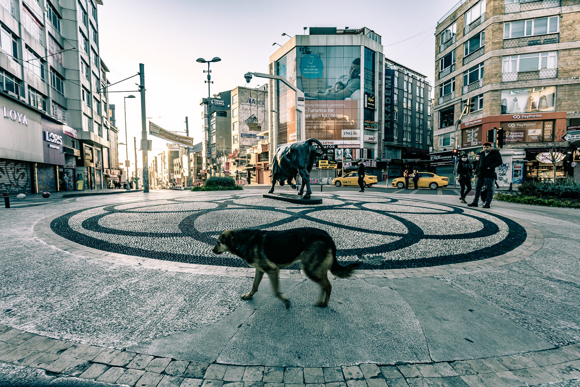 "Lonesome Bull" - The Bull Statute is a meeting spot on a main junction in Kadikoy. It's usually packed. A few people and a stray dog are all I could see on an isolation day.