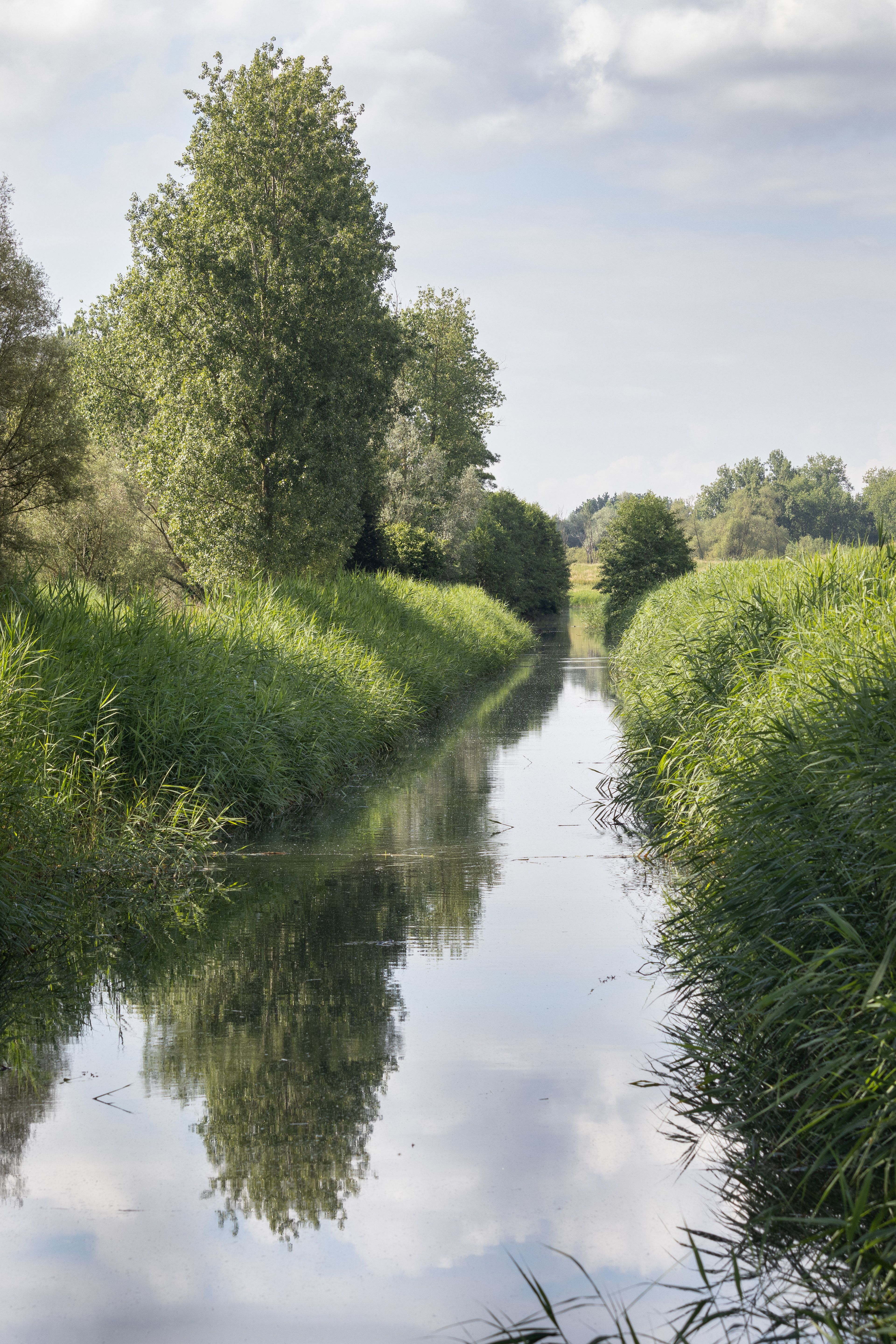Vlassenbroek