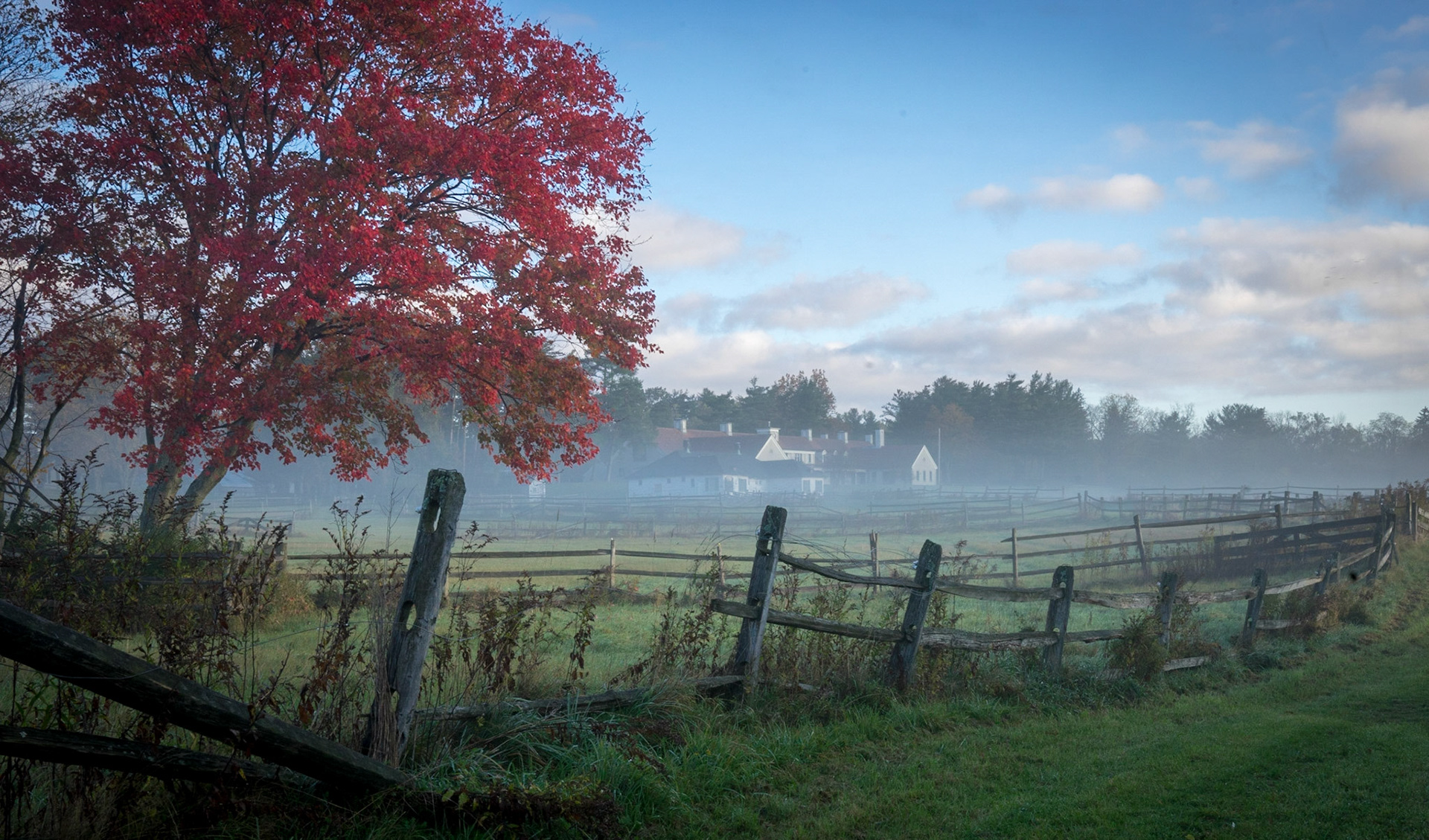 Backside Stable, morning mist