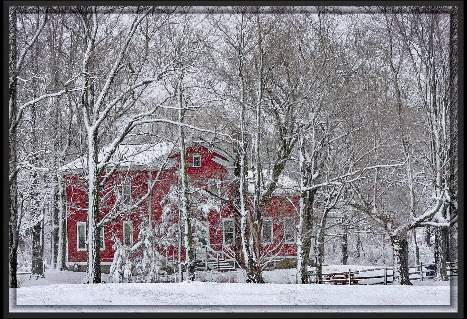 Red house through trees, Winter