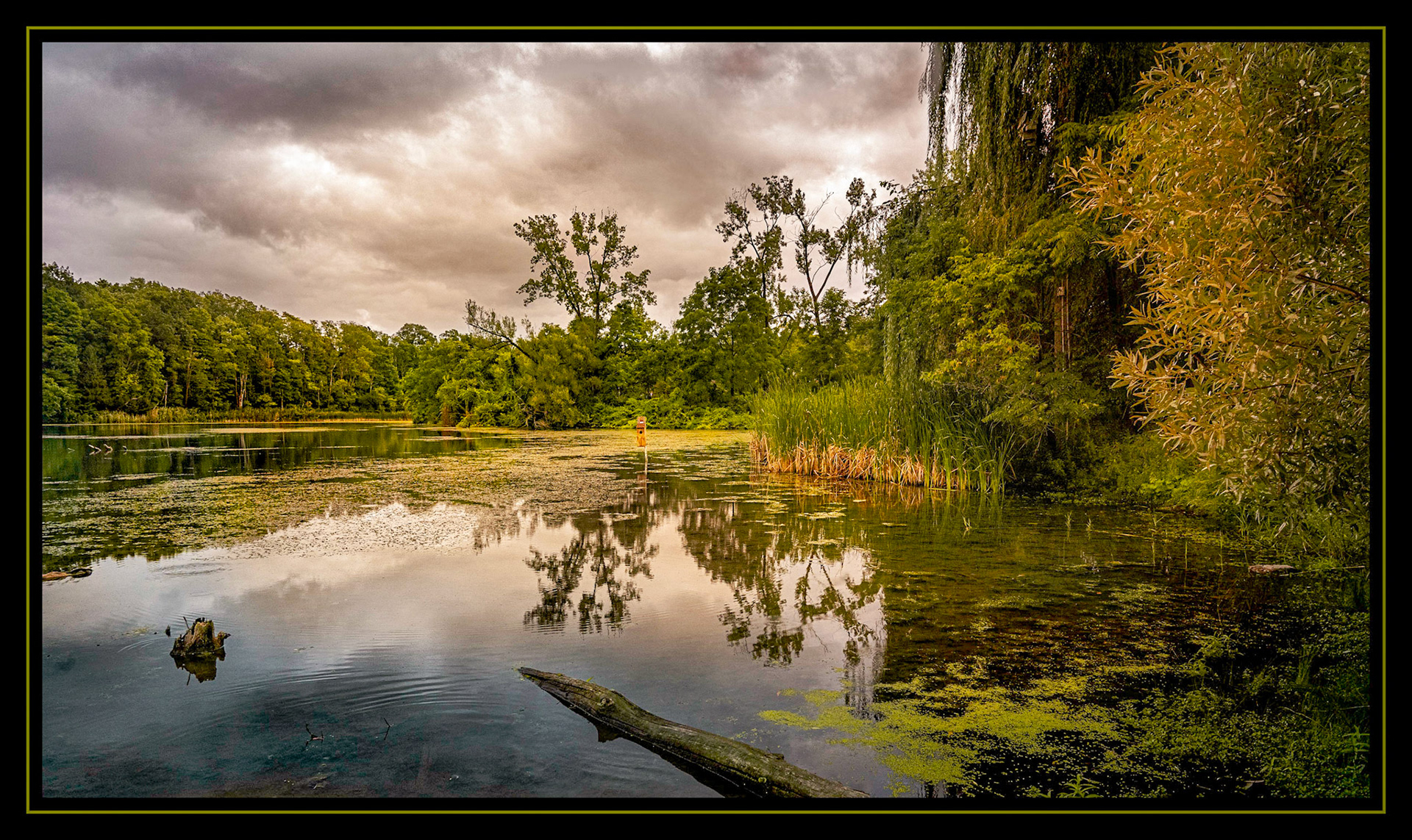 Sinking Ponds