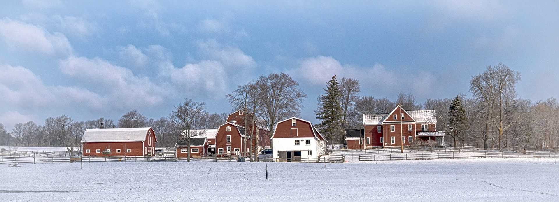 Red Barns, Winter