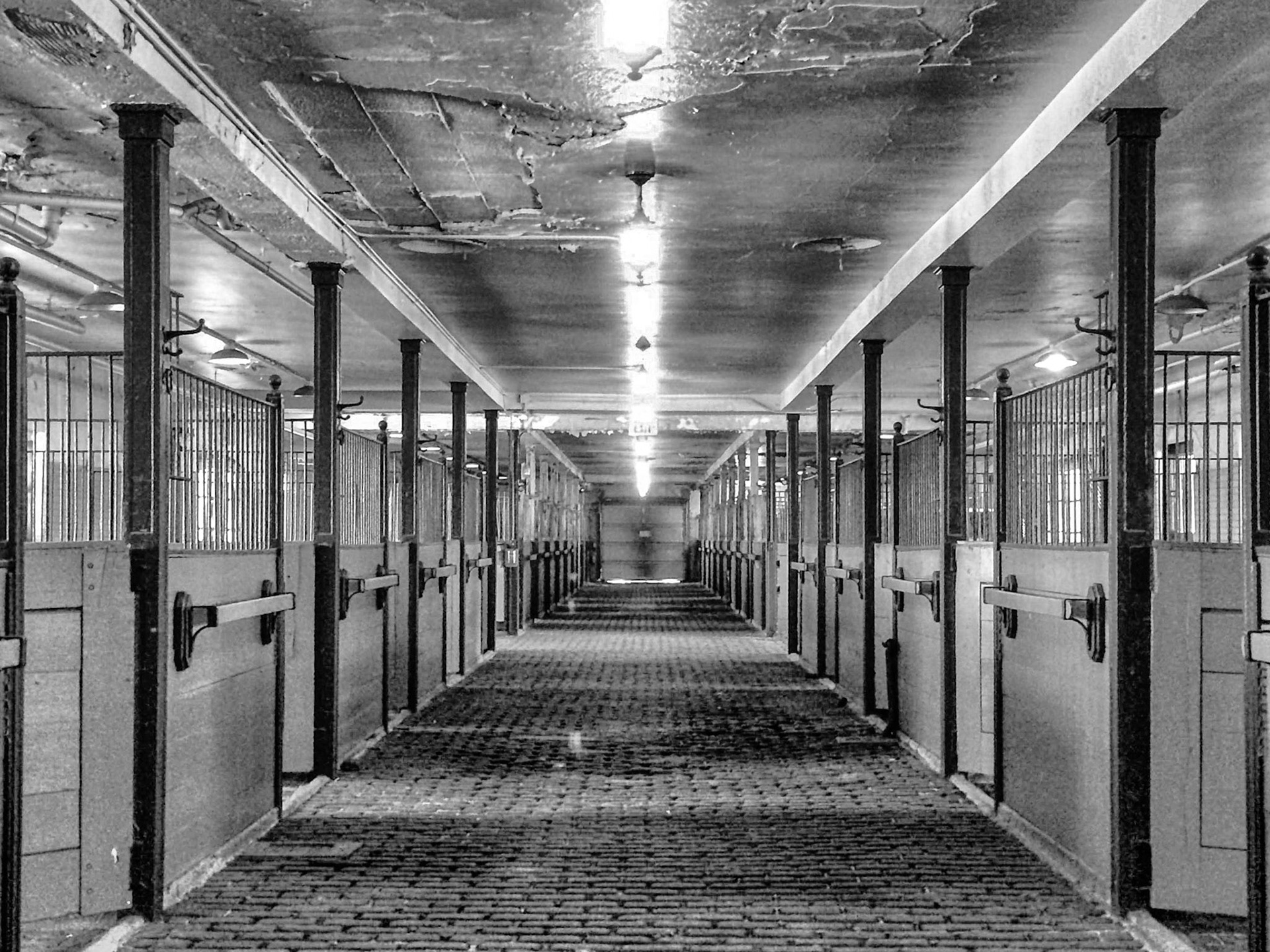 Stables stalls, B&W
