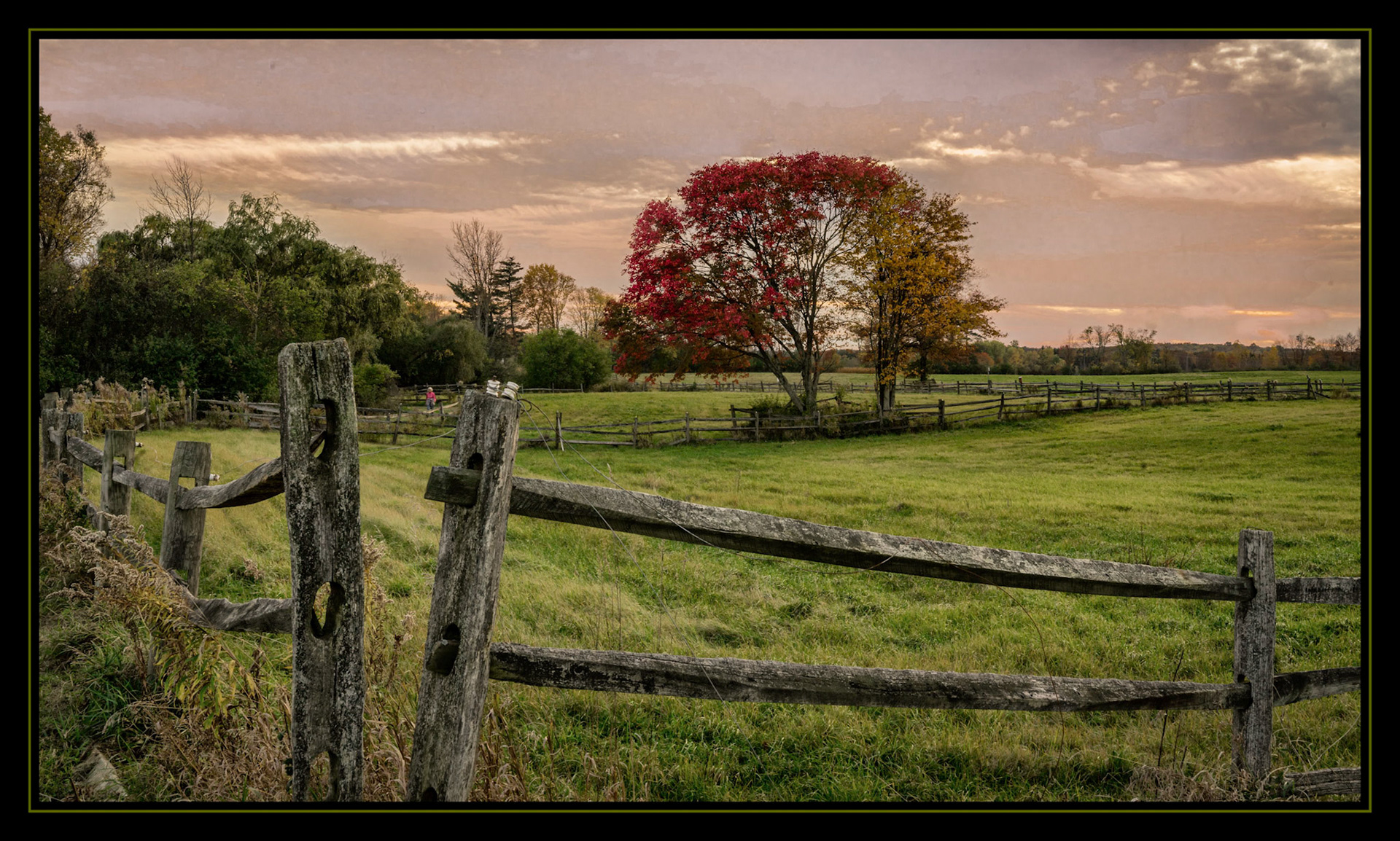 Sunset field, Fall 2