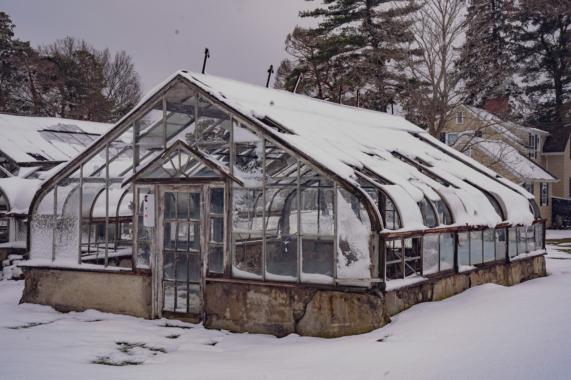 Old Green House, Winter