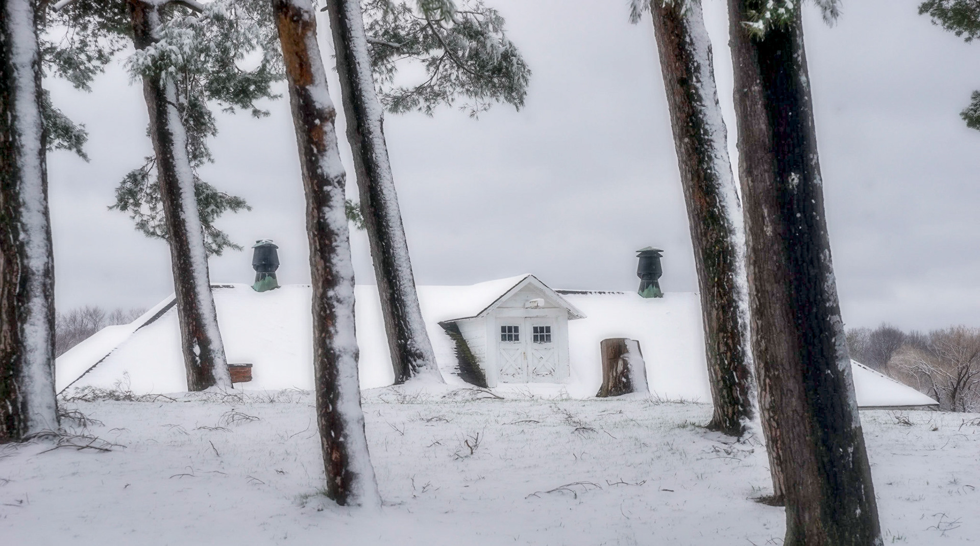 White Barn though pines, winter
