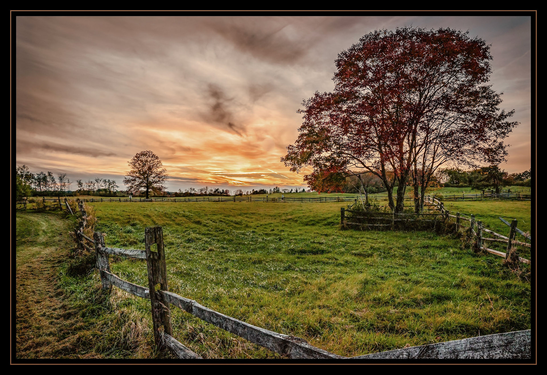 Knox Park field