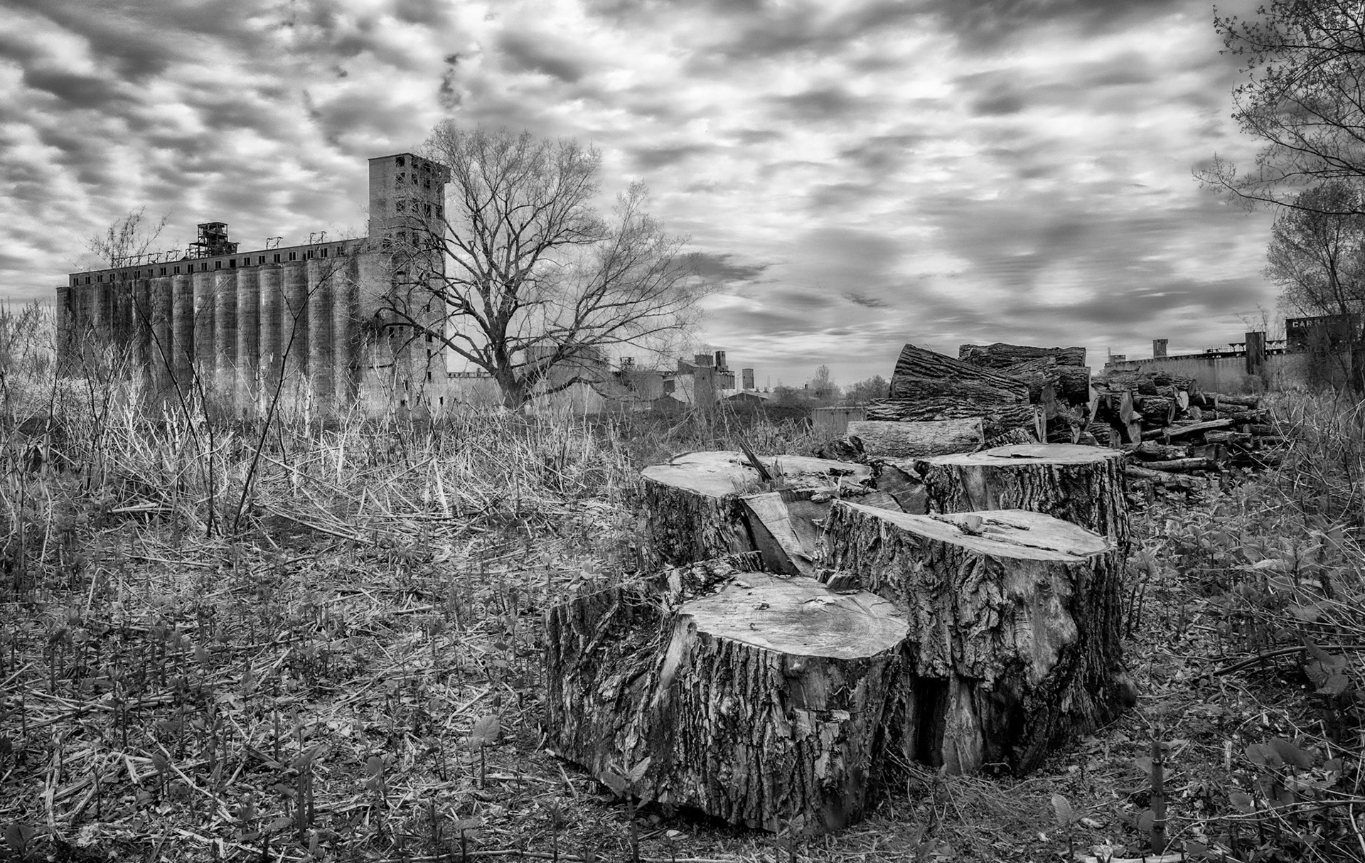 Silo City