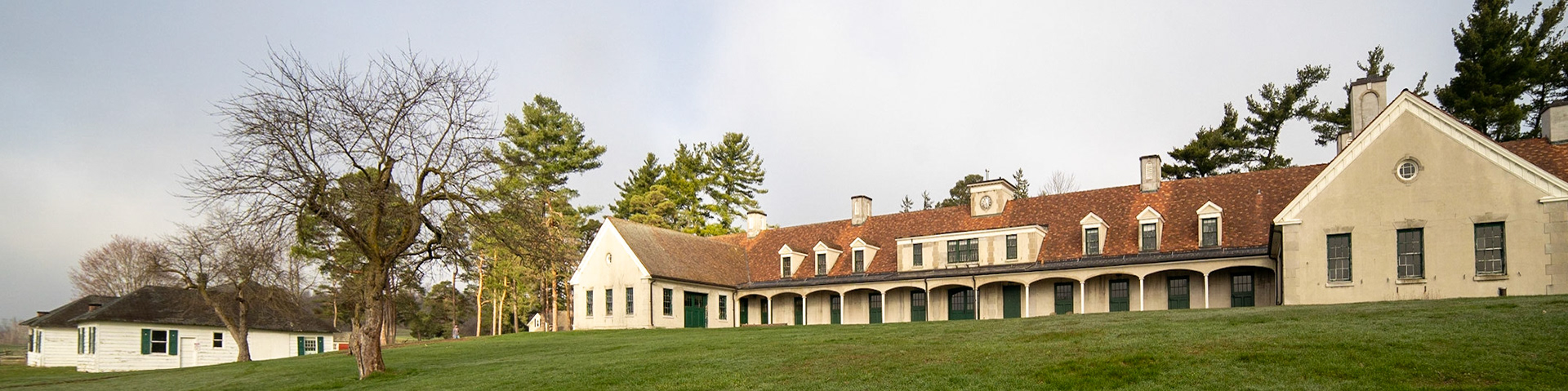 stable backside, white barn, spring