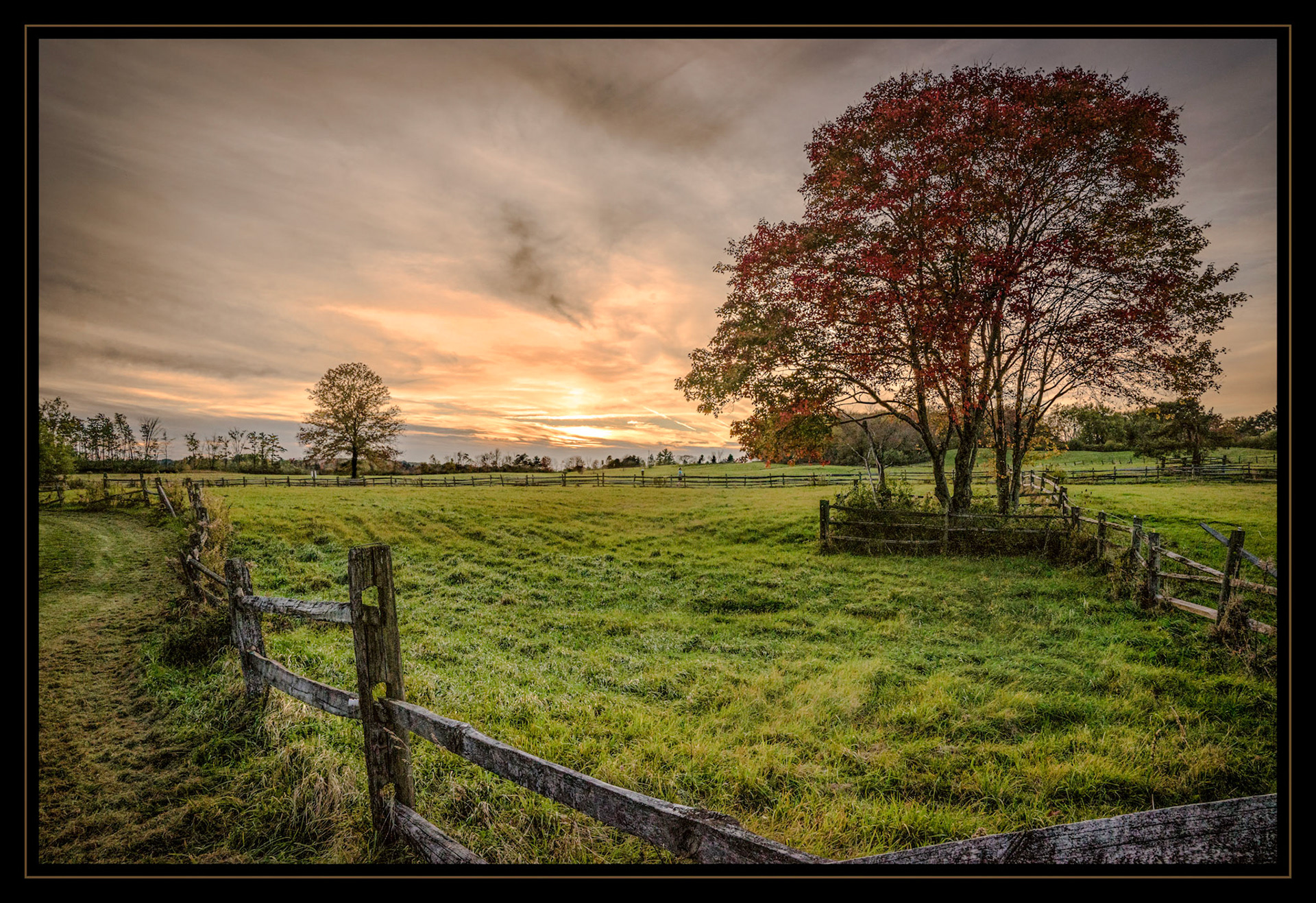 Sunset field, Fall