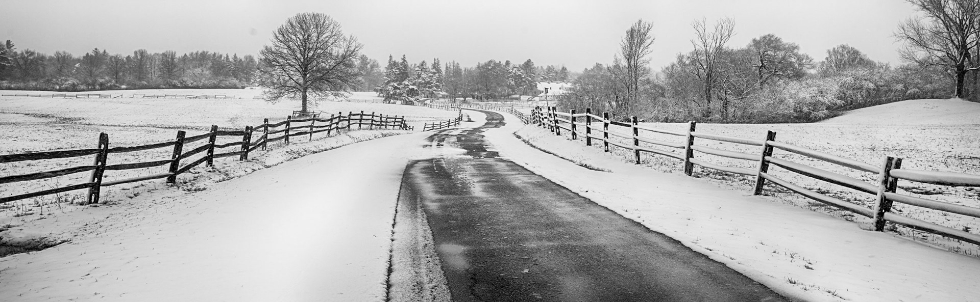 Entrance way, Winter