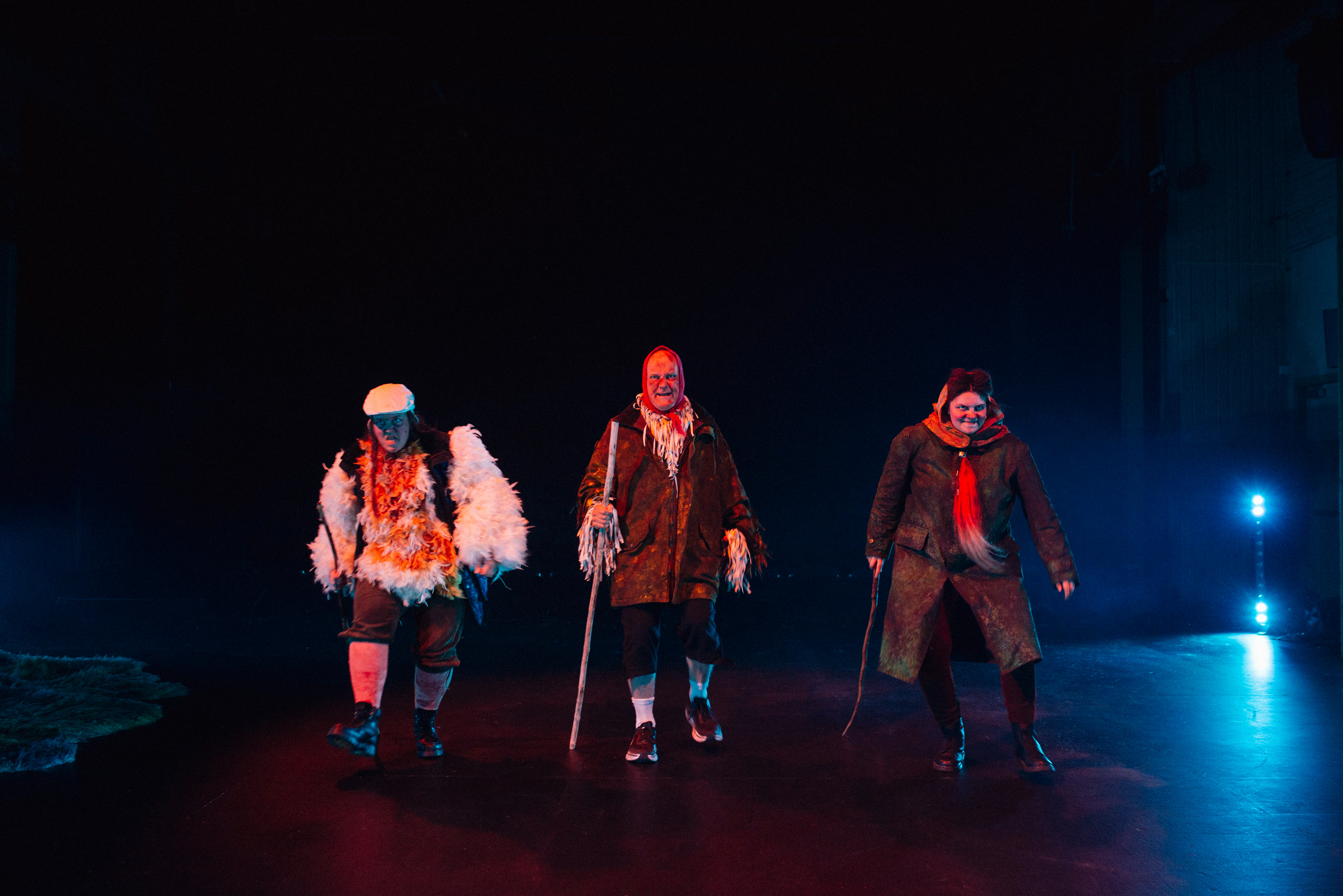 Costume coordinator - The Fantastic mister fox