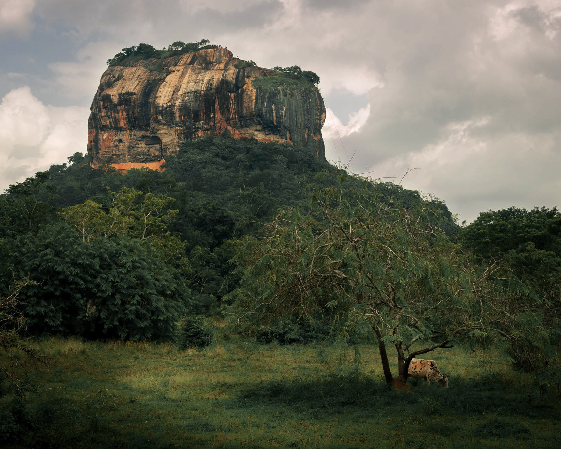 Sigiriya Köngisfelsen