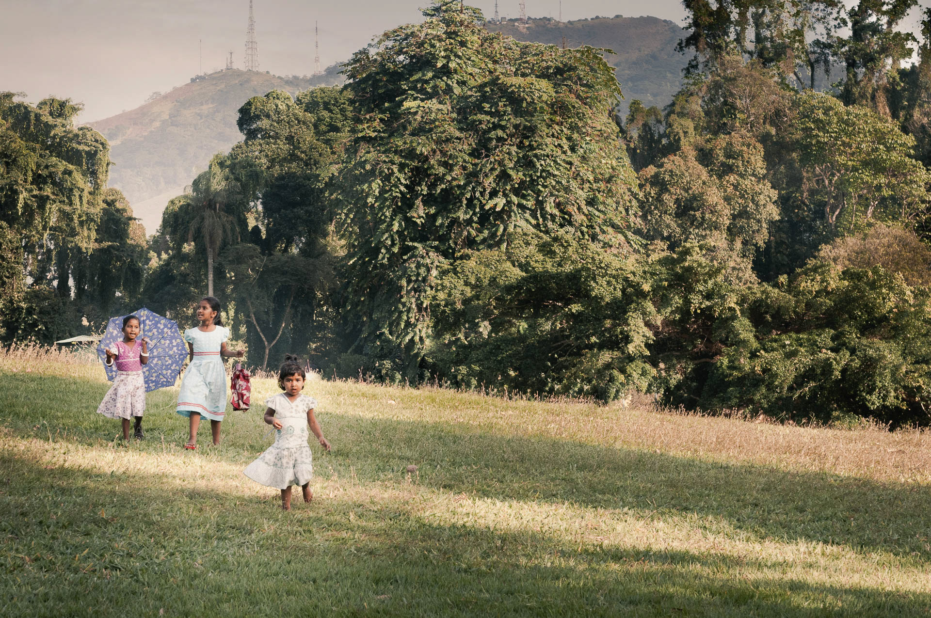 Kandy botanischer Garten