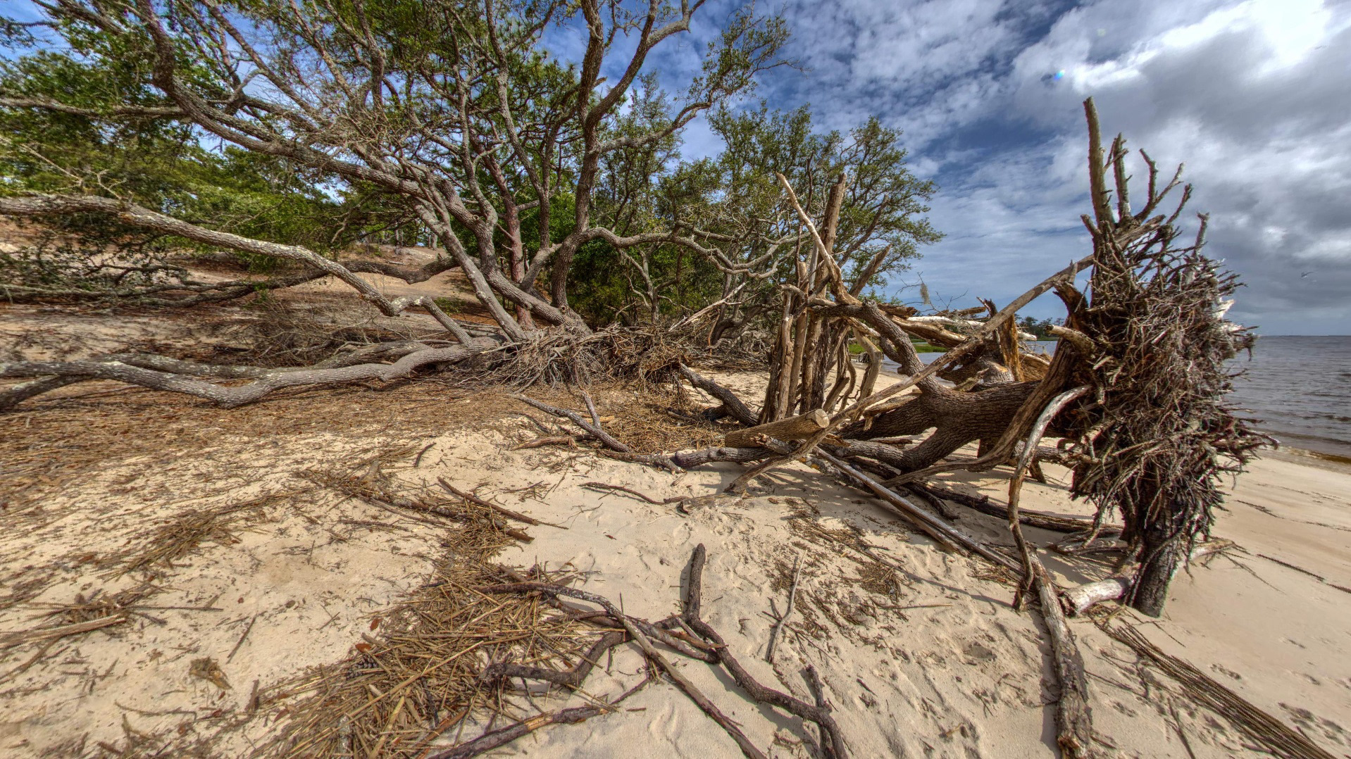 Humans built shelter in the riff raff. Along the shores of the Cape Fear River.