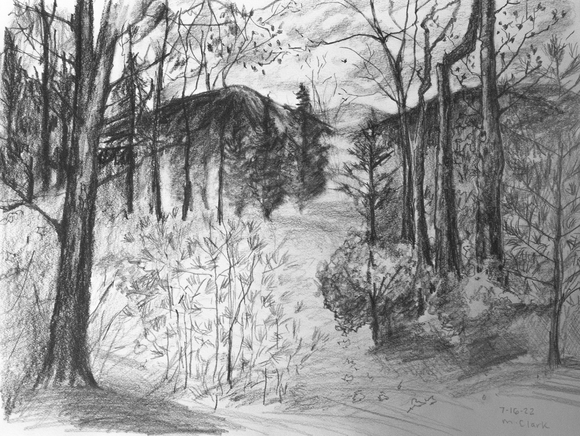 Mountain View - Pencil and Charcoal - Unframed - Image measures 12"w x 9"h