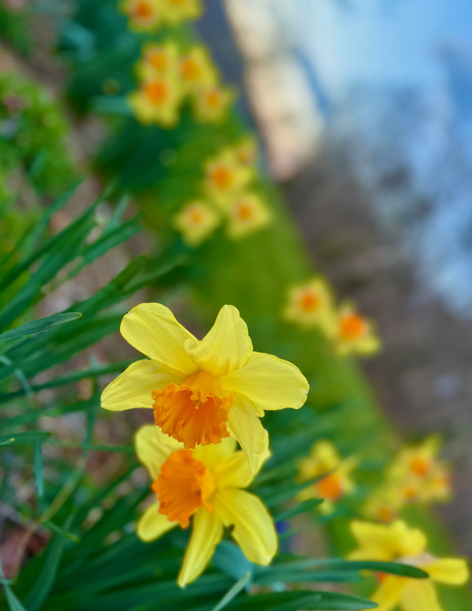 Photographed with iPhone