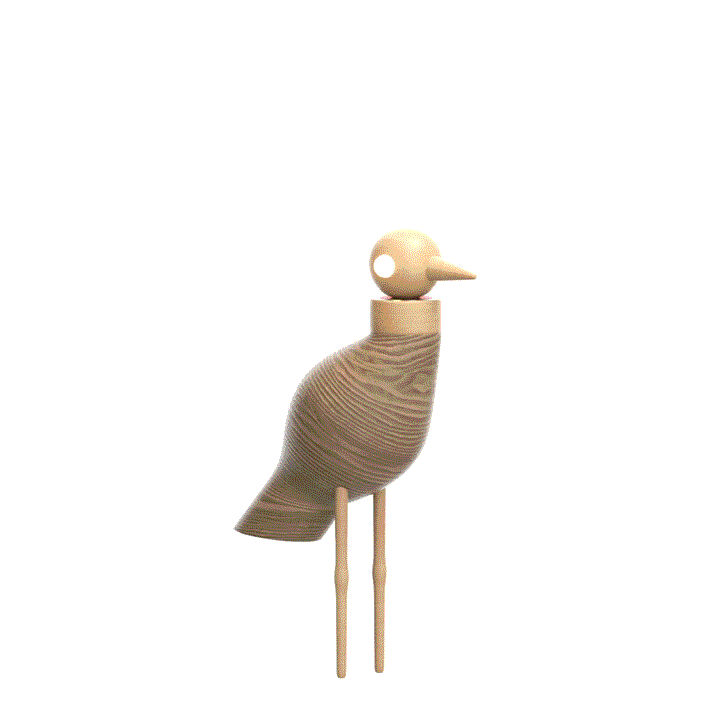 Telescope Bird