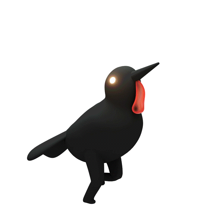 Frigate Bird