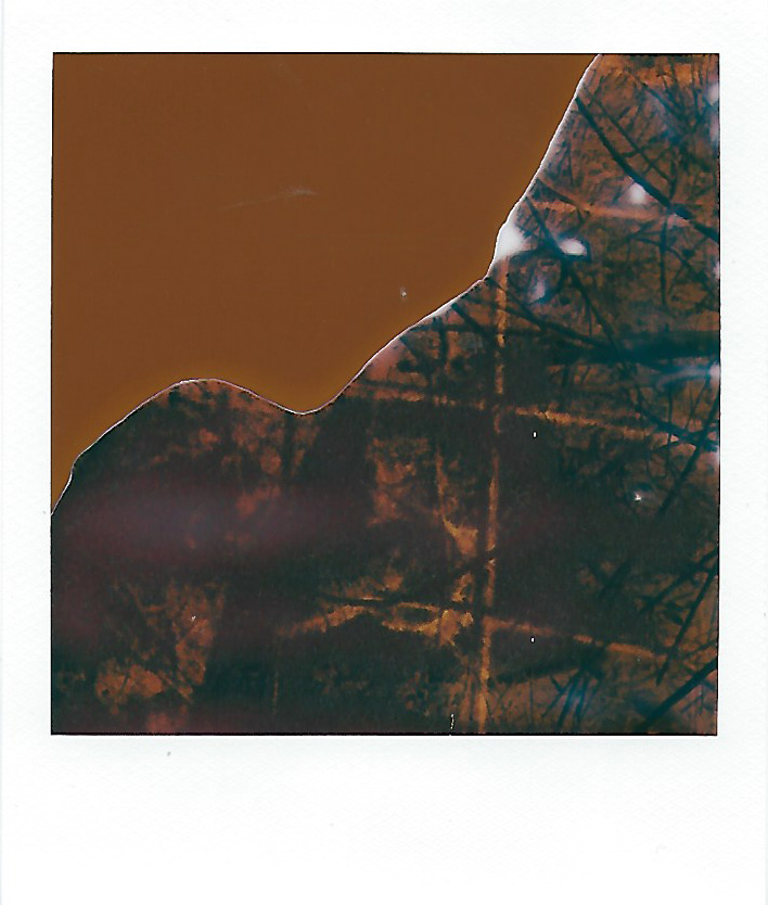 made with reclaimed film