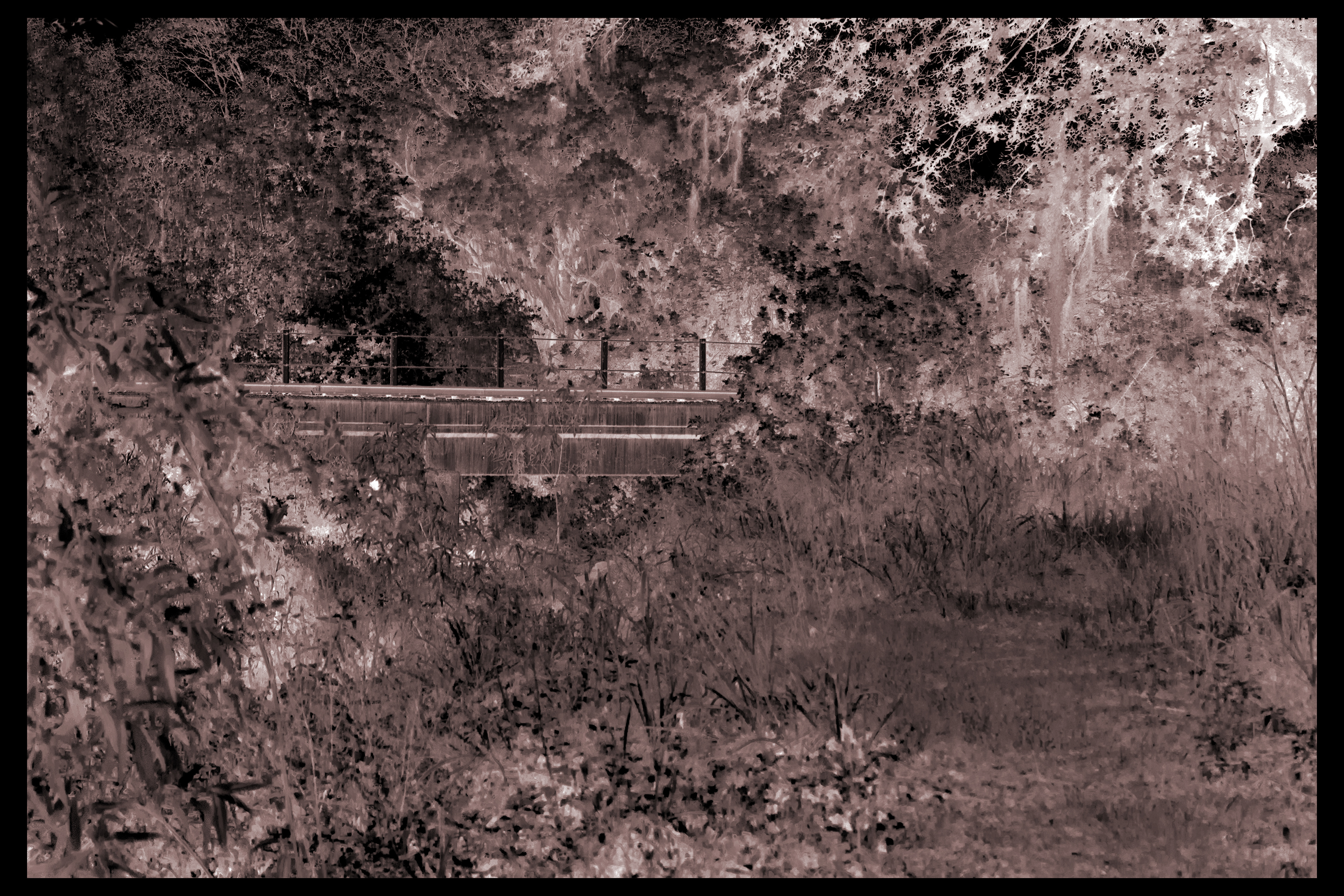 hidden grotto / cruising spot