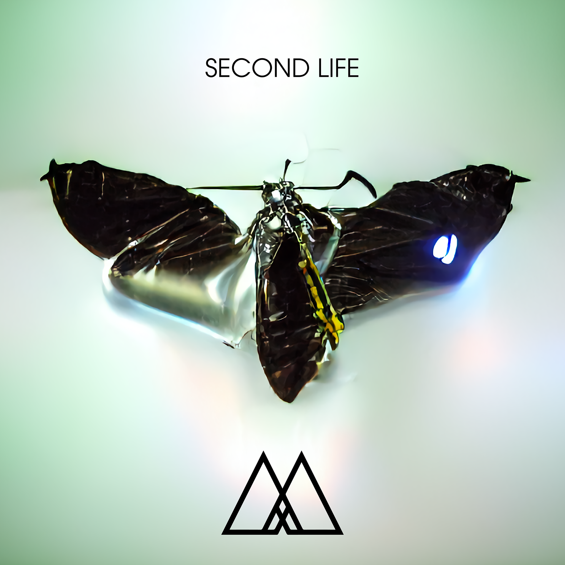 Second Life - Single Artwork