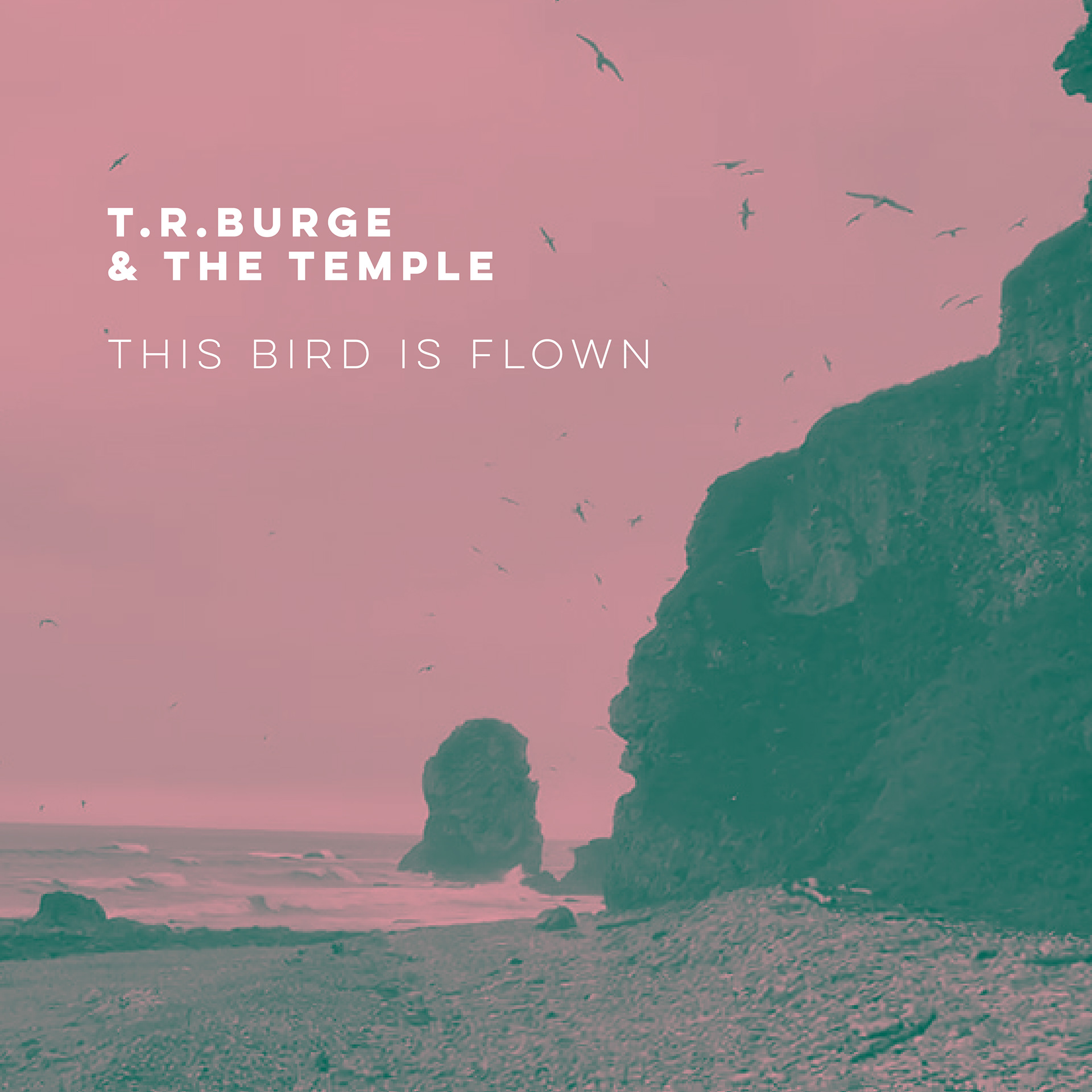 This Bird is Flown - Single Artwork
