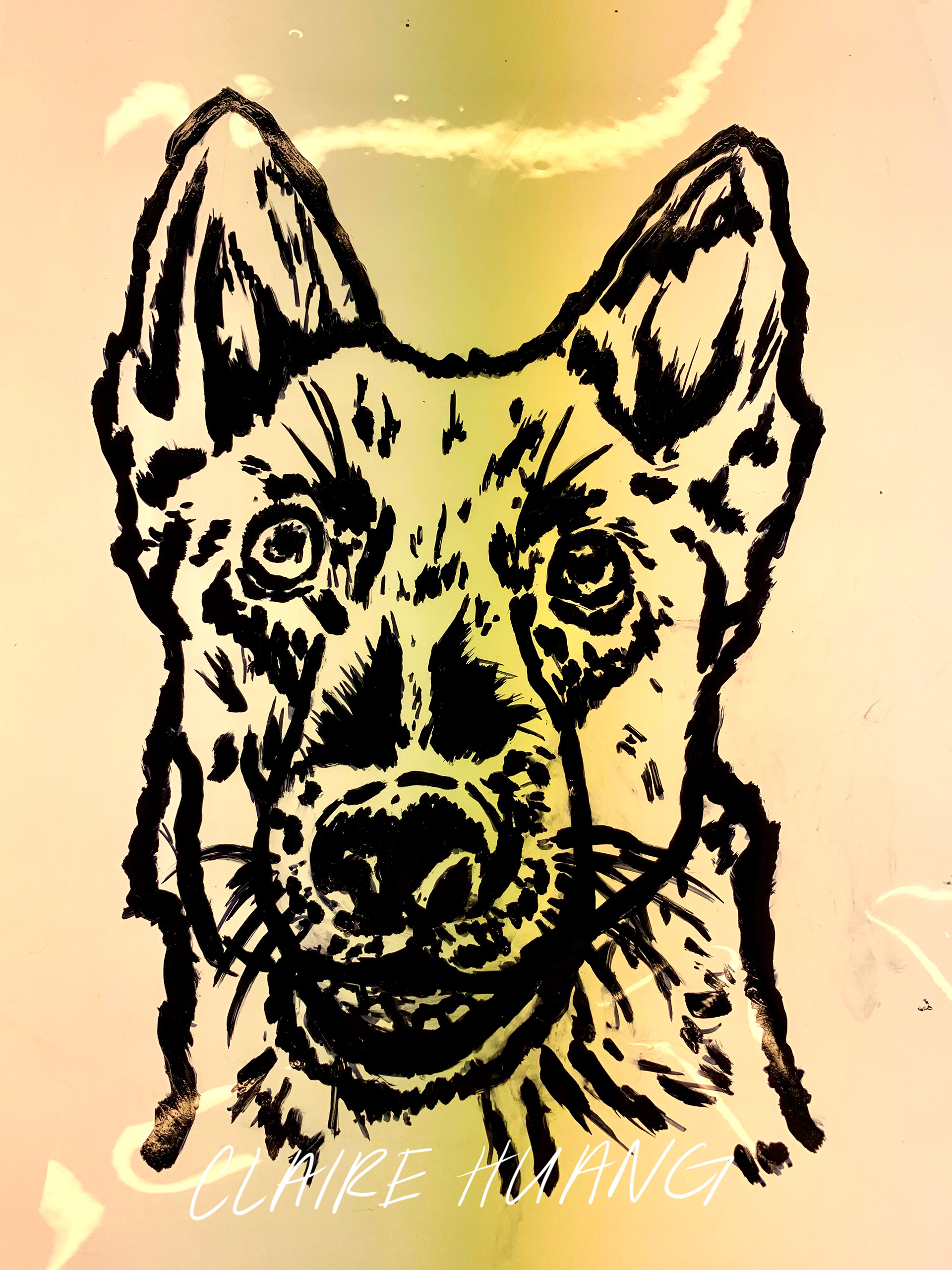 Marker on Acetate Drawing