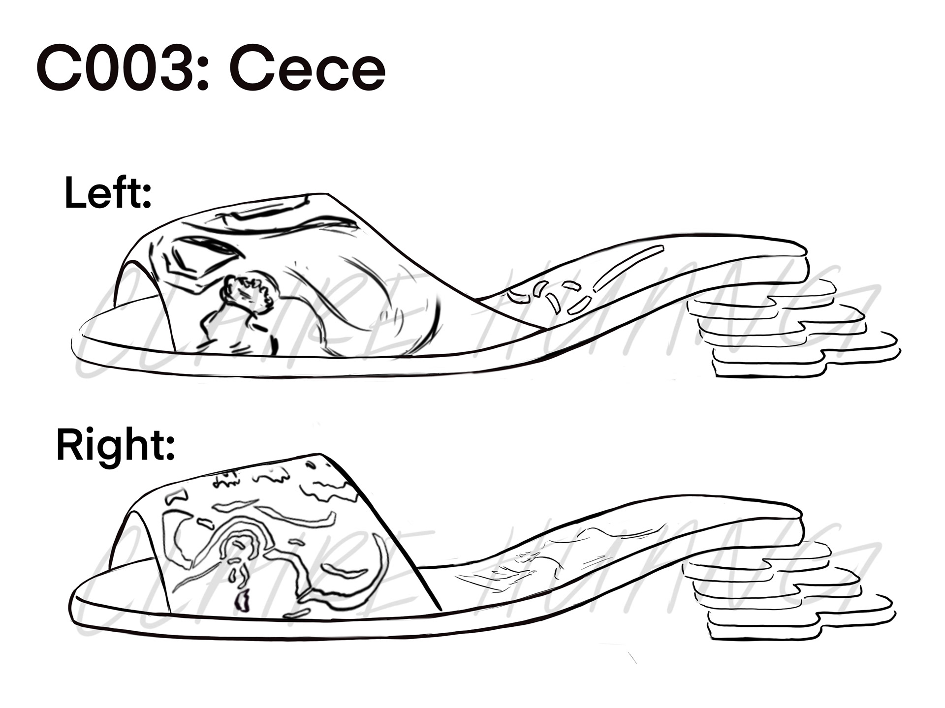 C003: Cece
