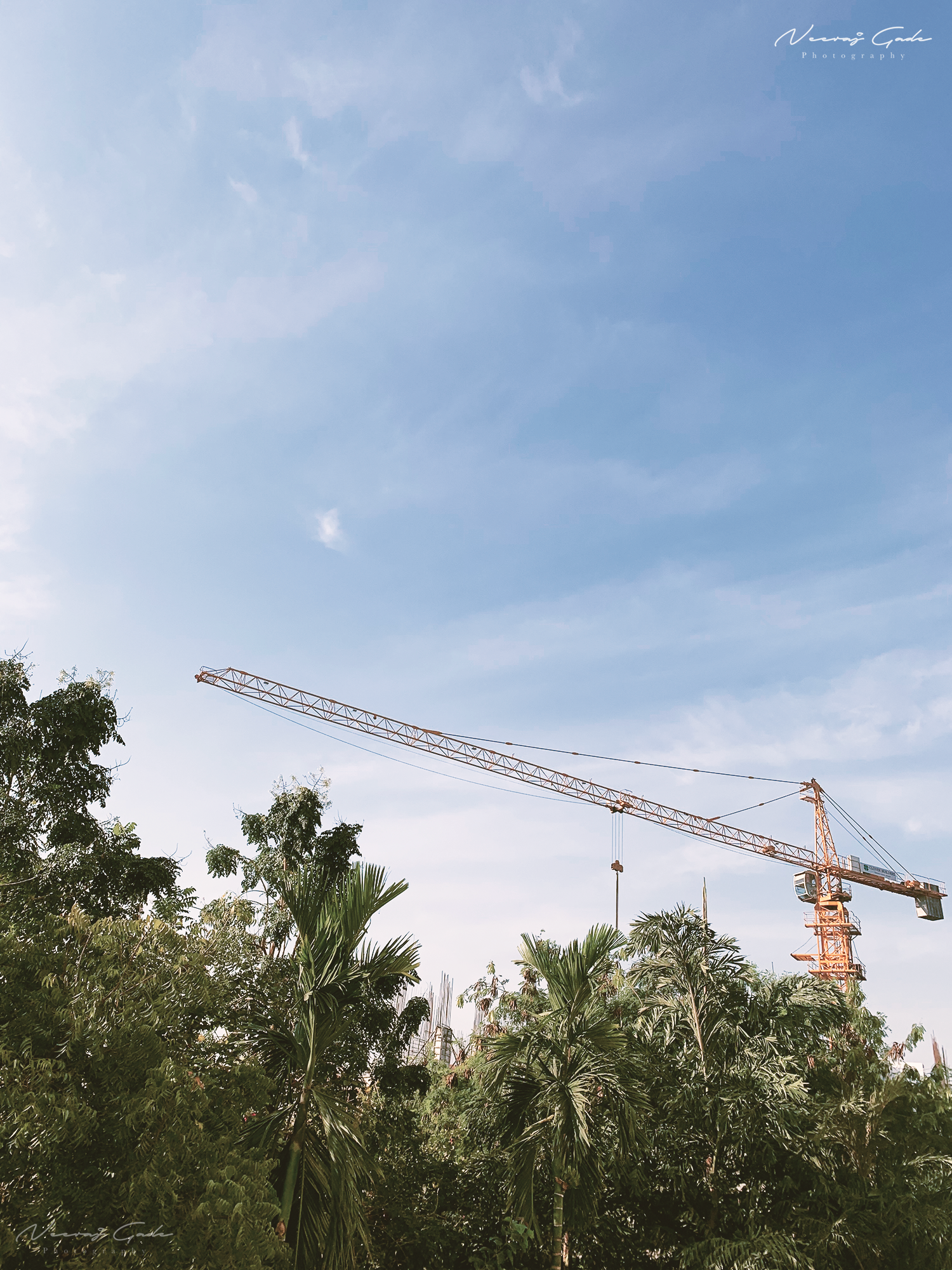 Reconstructing nature