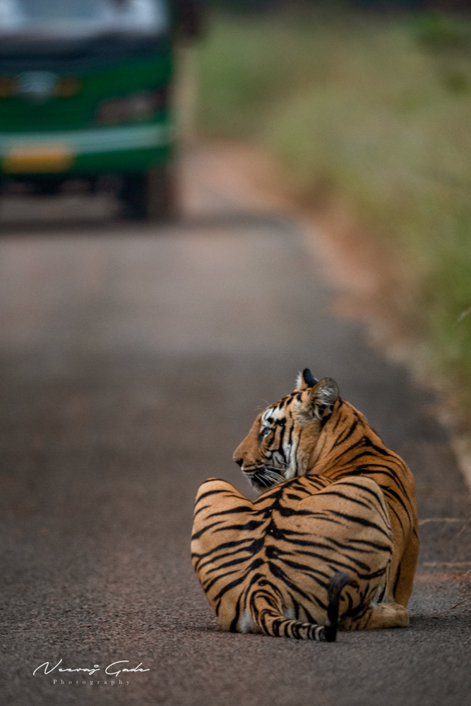 Roma, TATR (Nov 2022)